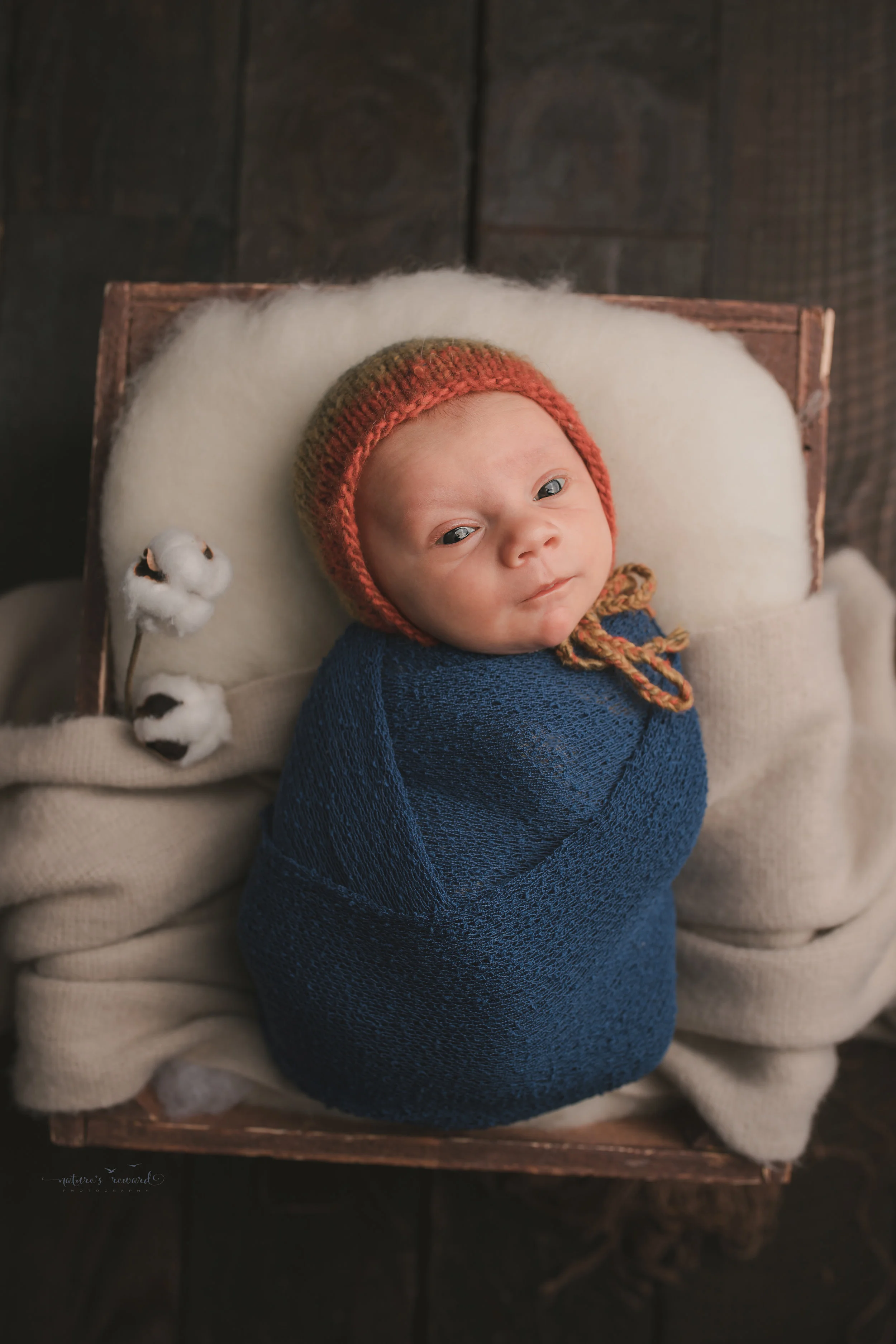 Baby boy in a box in a blue swaddled and multi color bonnet and on a tan throw. A portrait by Nature’s Reward Photography