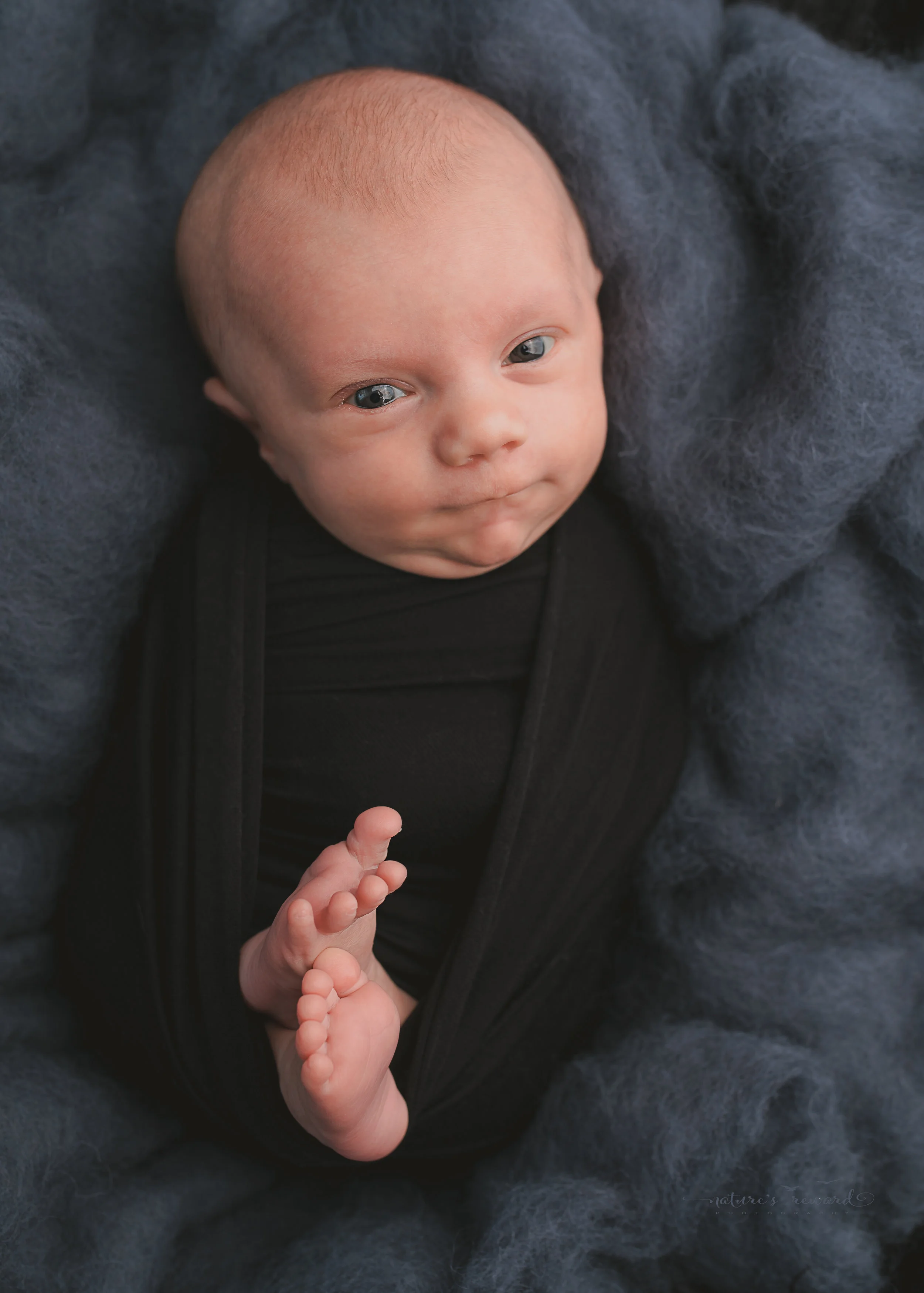 Baby boy swaddled in black . A portrait by Nature’s Reward Photography