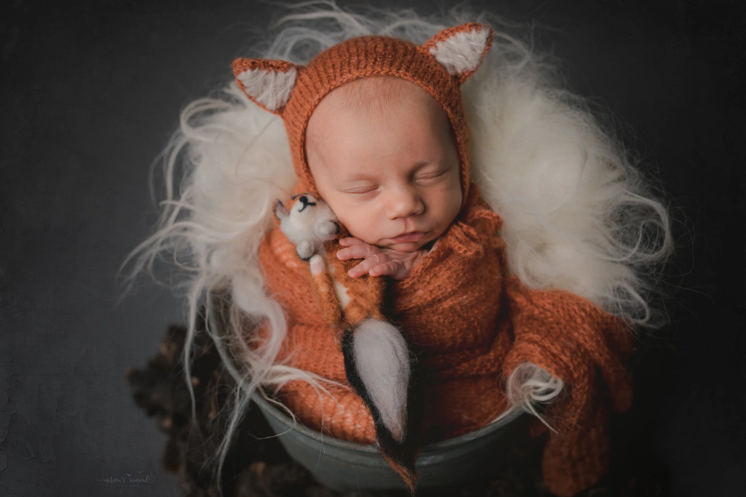 A baby boy in a bucket wearing a fox hat and holding a fox- a portrait by Nature's Reward Photography