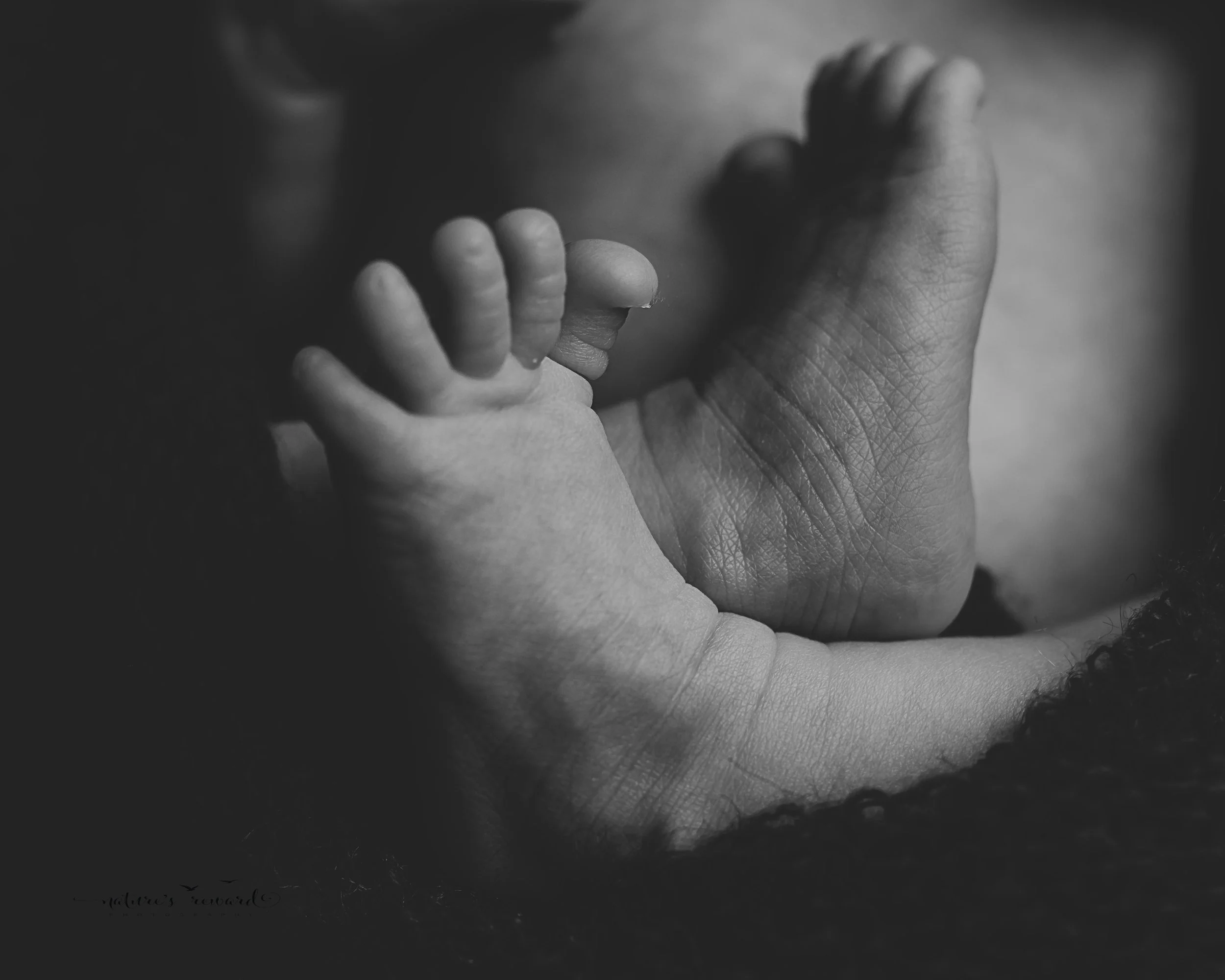Gorgeous feet photograph by Nature’s Reward Photography