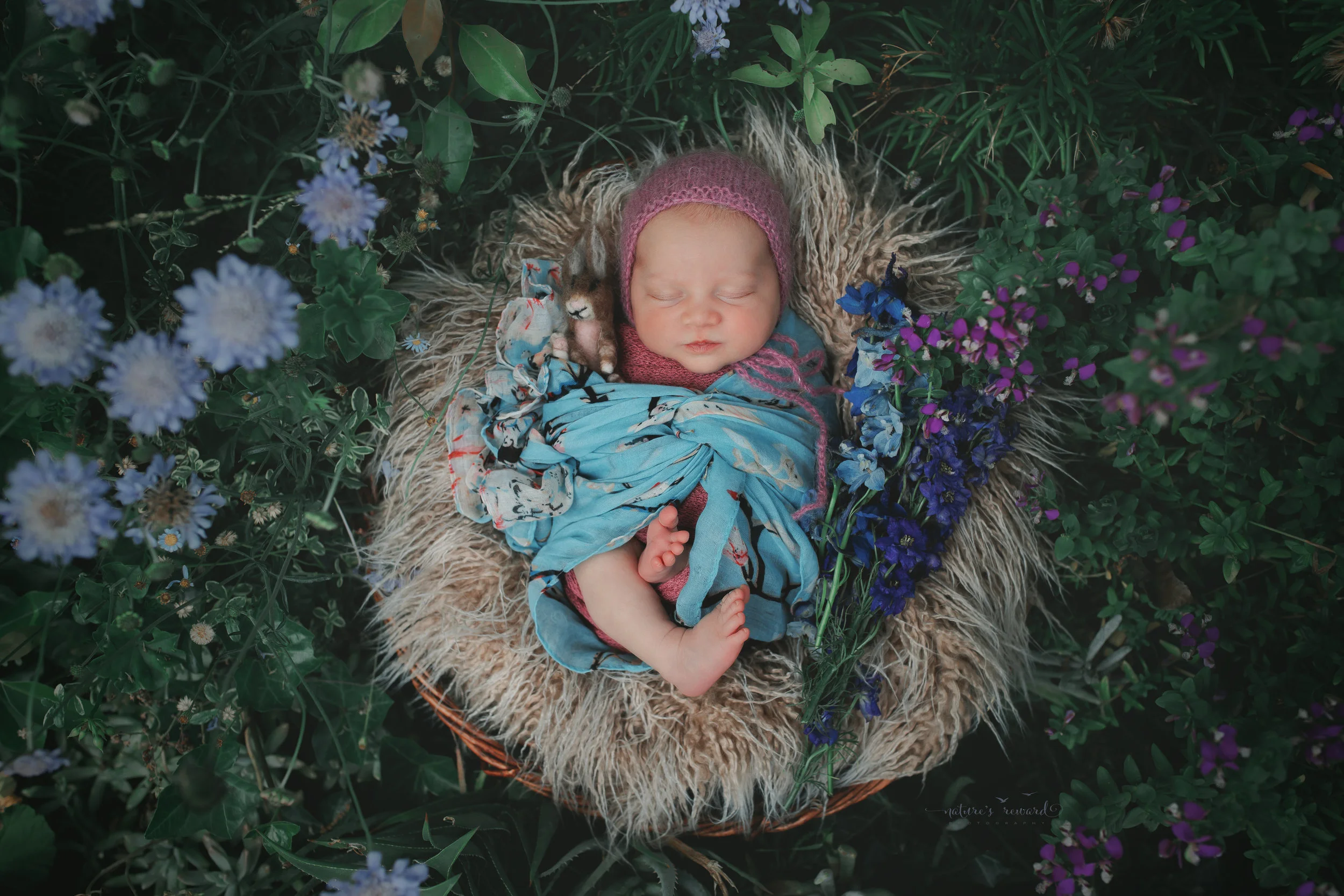 Newborn baby girl in a succulent and flower garden on a bed of fur wearing pinks and blue, a baby portrait by Nature’s Reward Photography