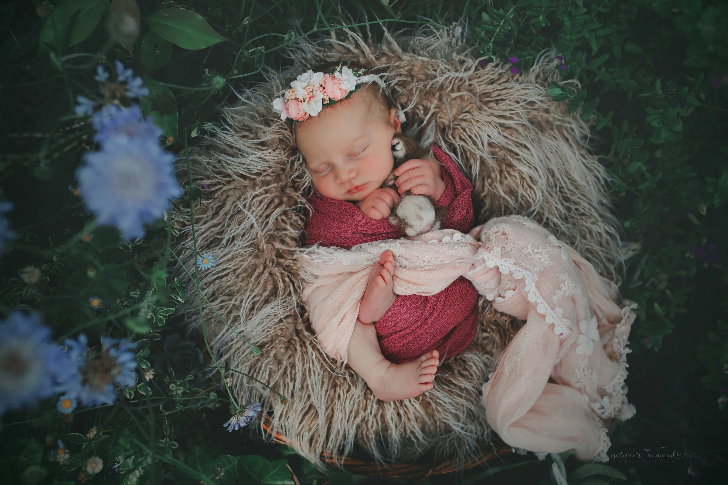 Newborn baby girl in a succulent and flower garden on a bed of fur wearing shade of pink, a baby portrait by Nature’s Reward Photography