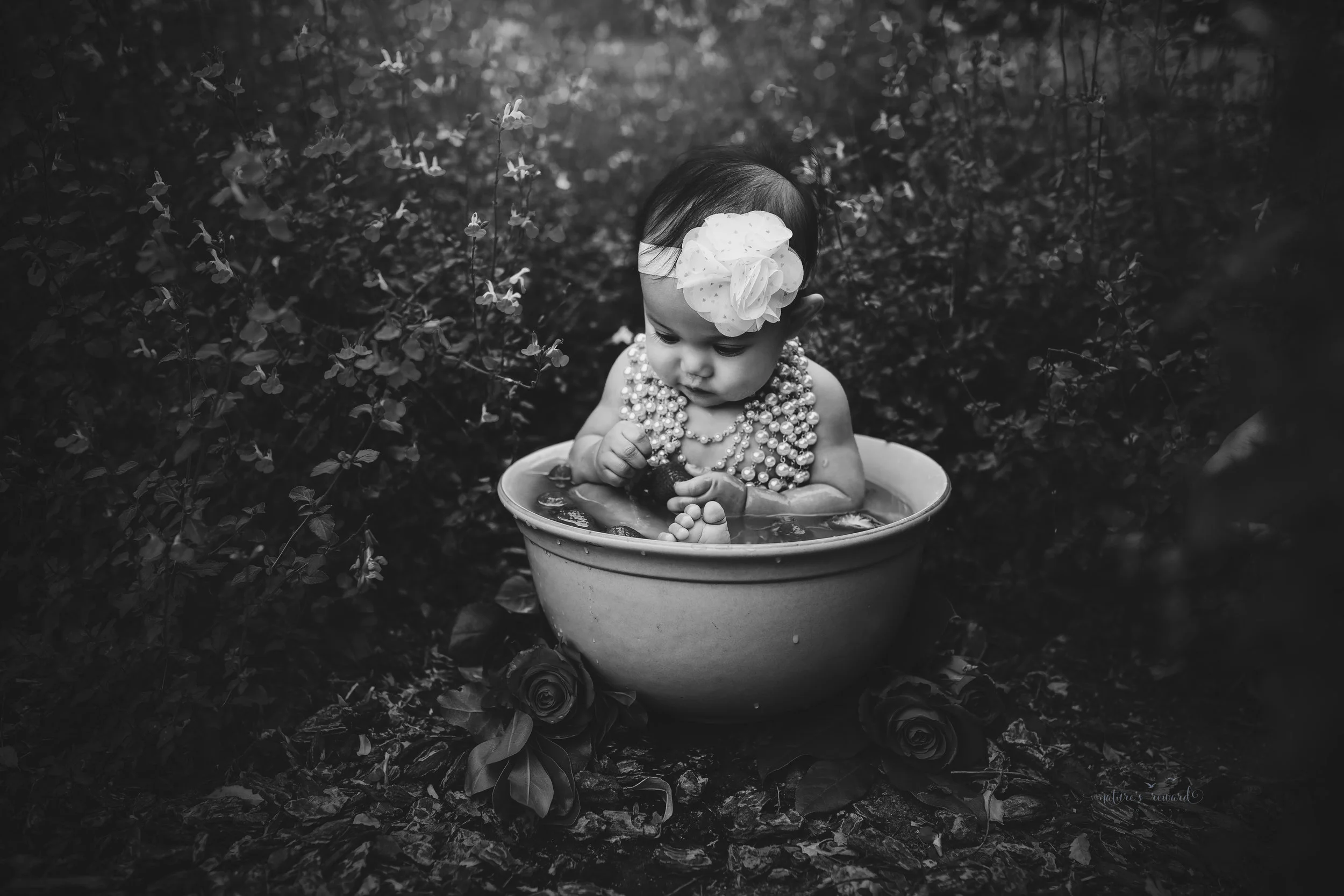 This black and white Strawberry bath session in the park with pops of red in this sitter session by Nature’s Reward Photography