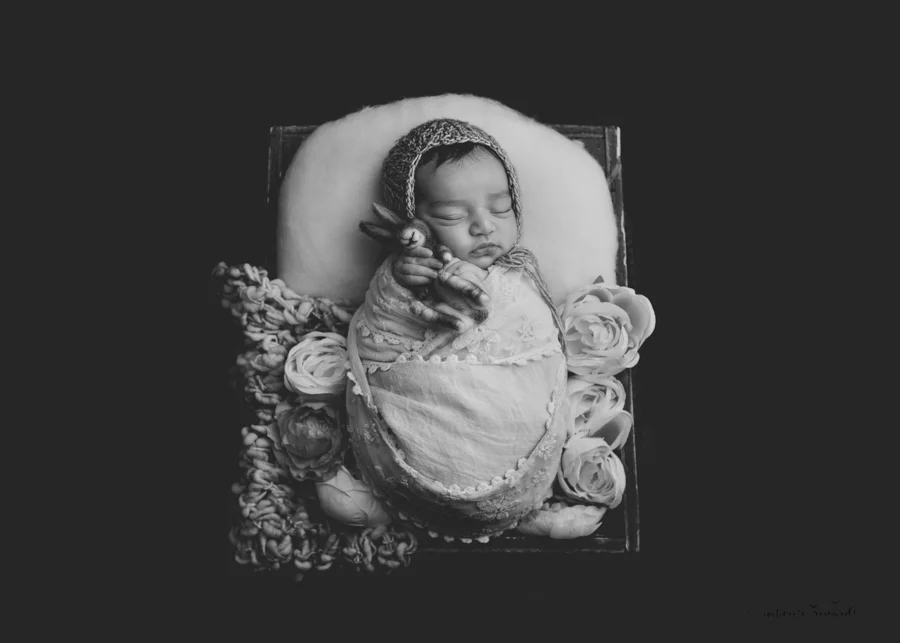Black white portrait of a Newborn Baby girl wrapped in pink lace and sitting in a wooden box on a real wood floor in a stunning portrait by Nature’s Reward Photography