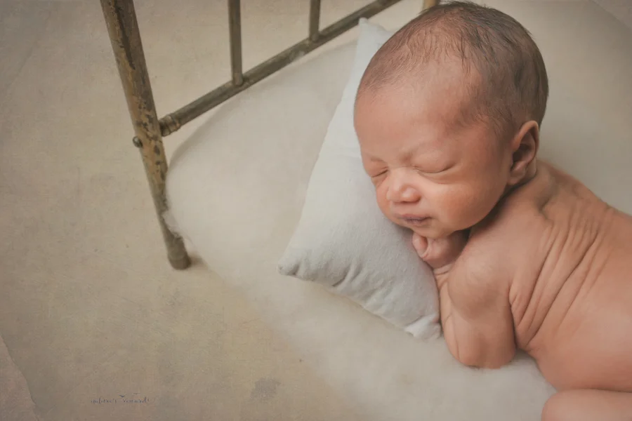 Newborn baby boy and his chunk of love rolls in a newborn portrait by Nature’s Reward Photography
