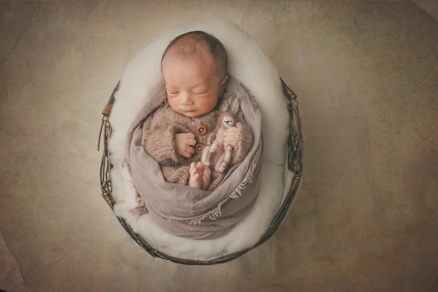 Newborn baby boy in a basket of fluff wearing a darling brown sleeper swaddled with toes and hands showing while holding a hand felted bunny in a newborn portrait by Nature’s Reward Photography