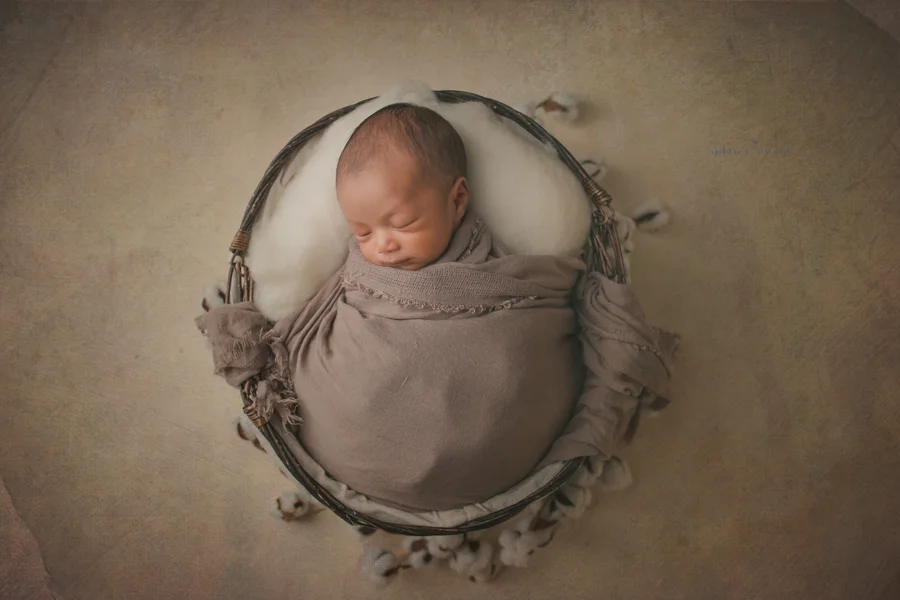 Newborn baby boy in a basket of fluff wearing a darling brown sleeper swaddled in a newborn portrait by Nature’s Reward Photography