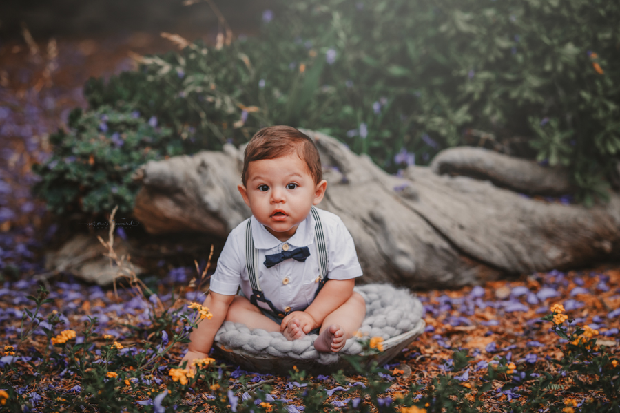 6 month old baby boy in his sitter session in a beautiful park, a portrait by Nature’s Reward Photography