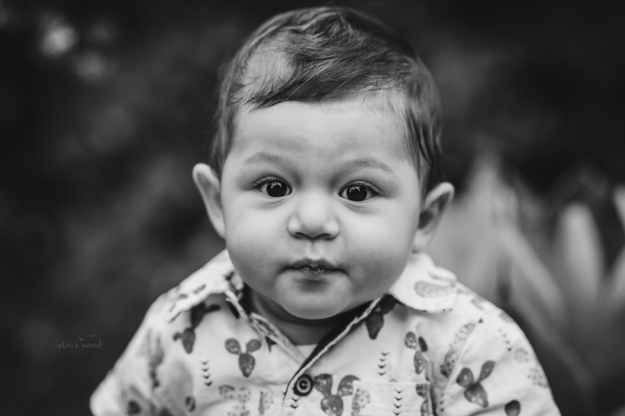 6 month old baby boy in his sitter session in a beautiful park, a portrait by Nature’s Reward Photography