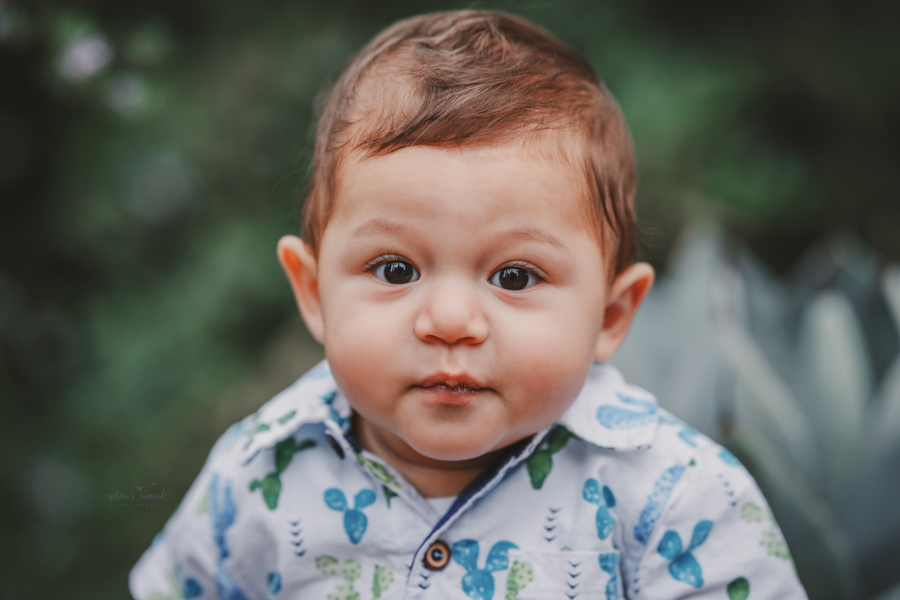 6 month old baby boy in his sitter session in a beautiful park, a portrait by Nature’s Reward Photography