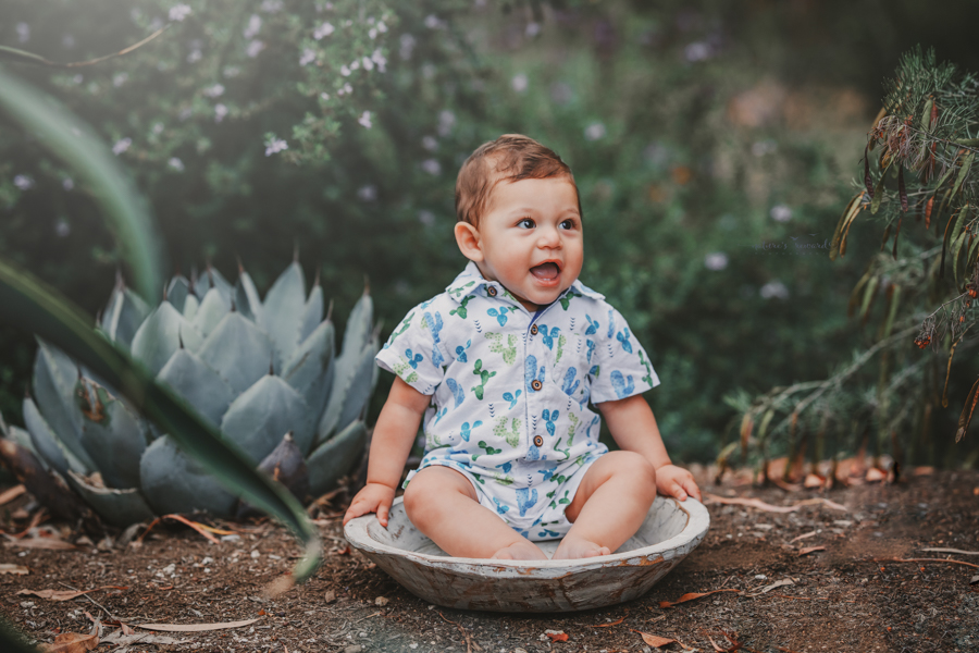 6 month old baby boy in his sitter session in a beautiful park, a portrait by Nature’s Reward Photography