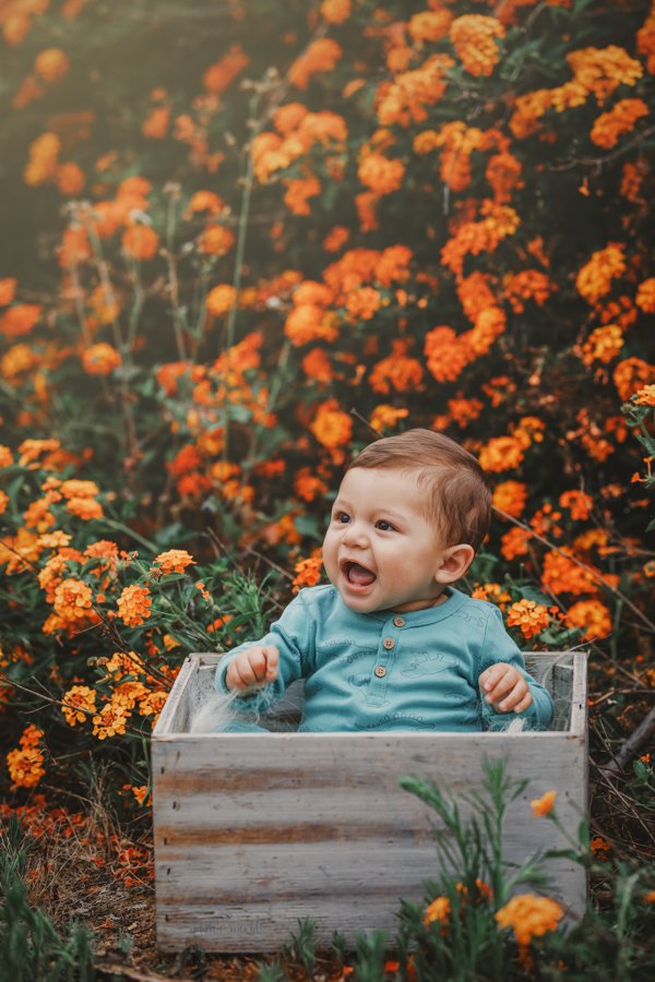 6 month old baby boy in his sitter session in a beautiful park, a portrait by Nature’s Reward Photography