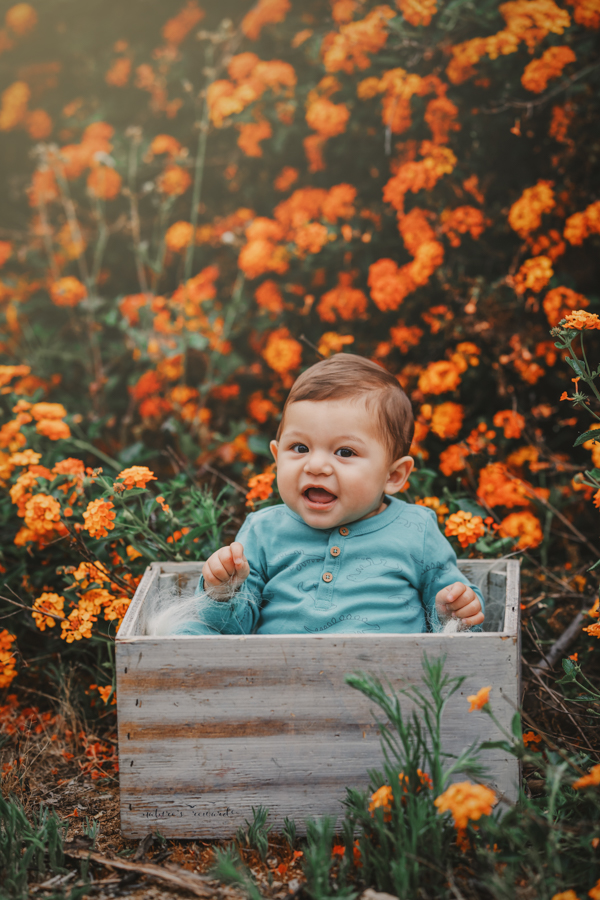 6 month old baby boy in his sitter session in a beautiful park, a portrait by Nature’s Reward Photography