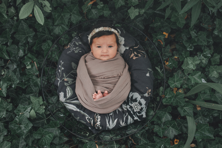 Newborn baby girl in a bed of ivy newborn portrait by Nature’s Reward Photography