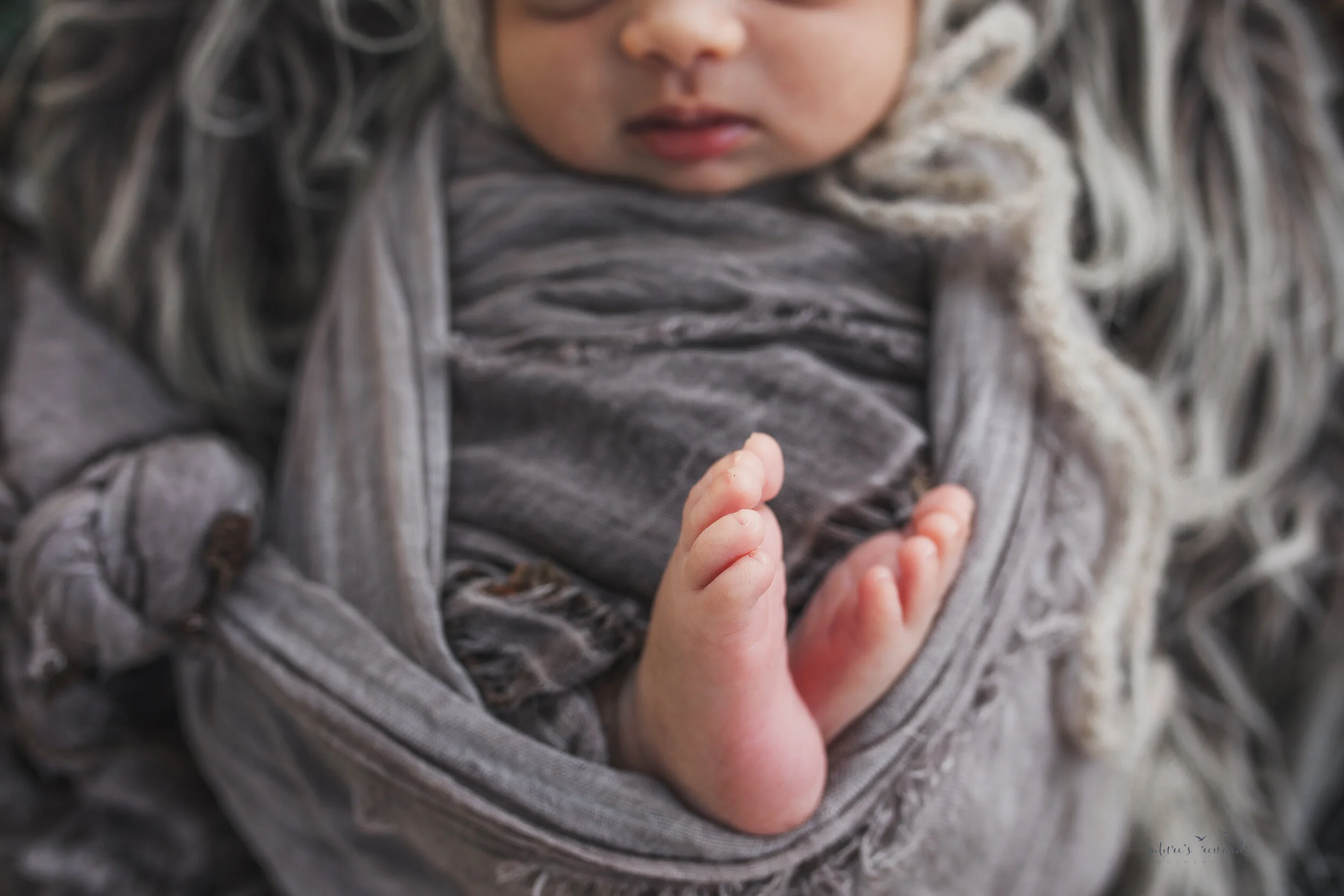 Sweet baby toes, a newborn portrait by Nature’s Reward Photography