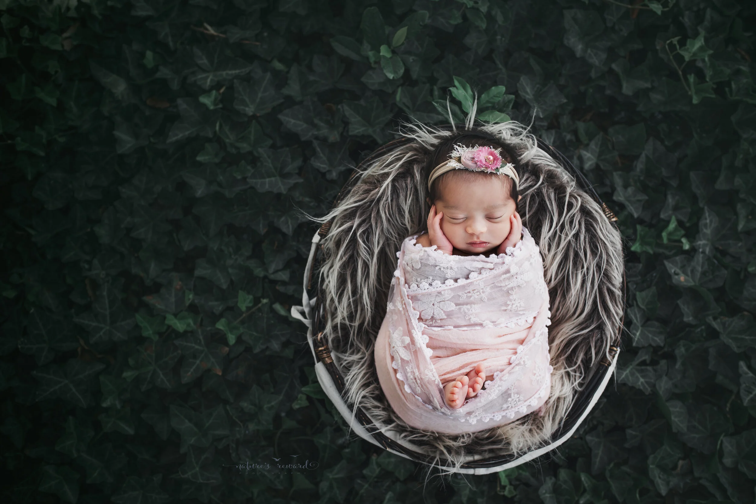 Sweet baby girl swaddled in pink lace in a garden of ivy, a newborn portrait by Nature’s Reward Photography