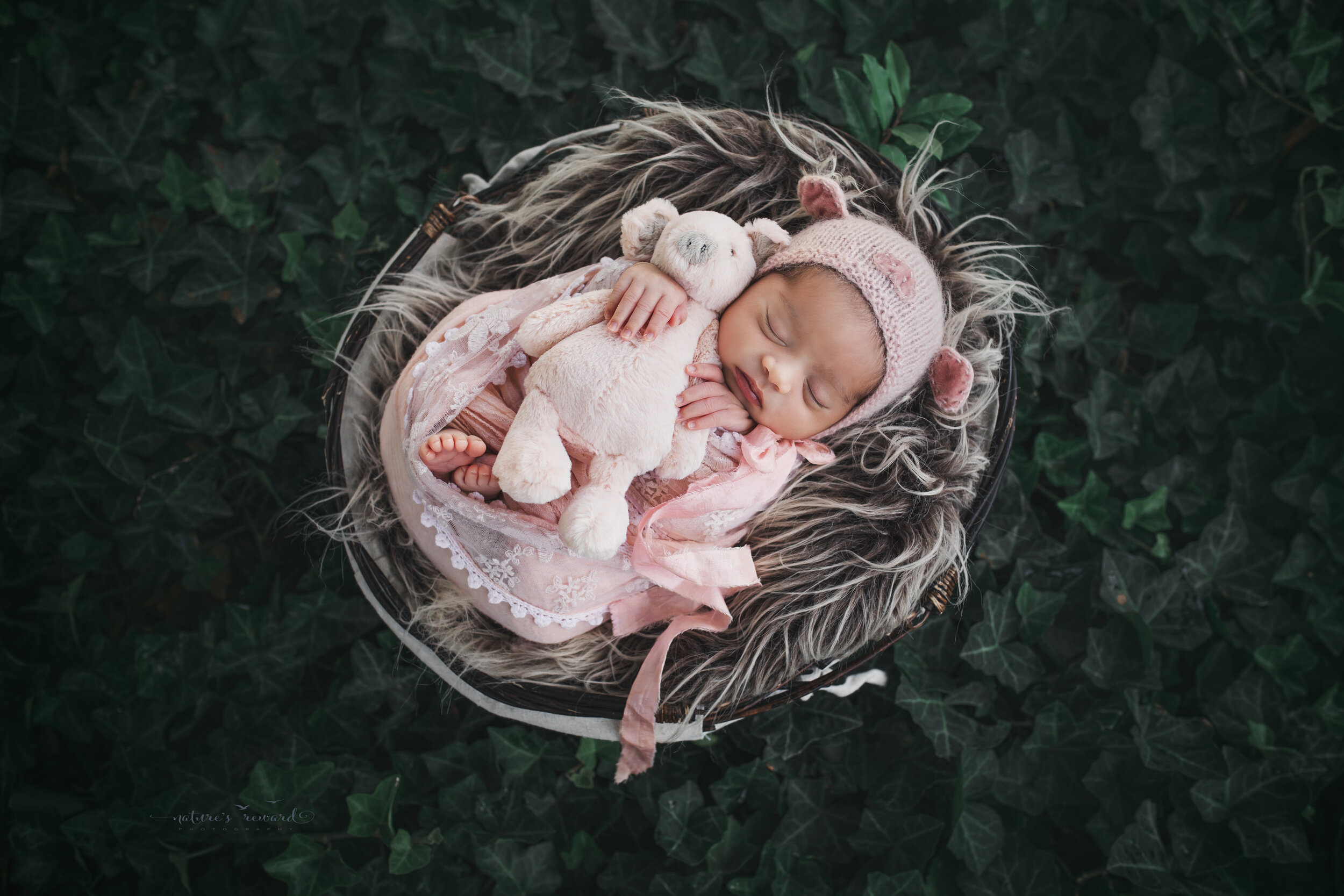 Sweet baby girl swaddled in pink lace wearing a pig bonnet (the year of the pig) in a garden of ivy, a newborn portrait by Nature’s Reward Photography