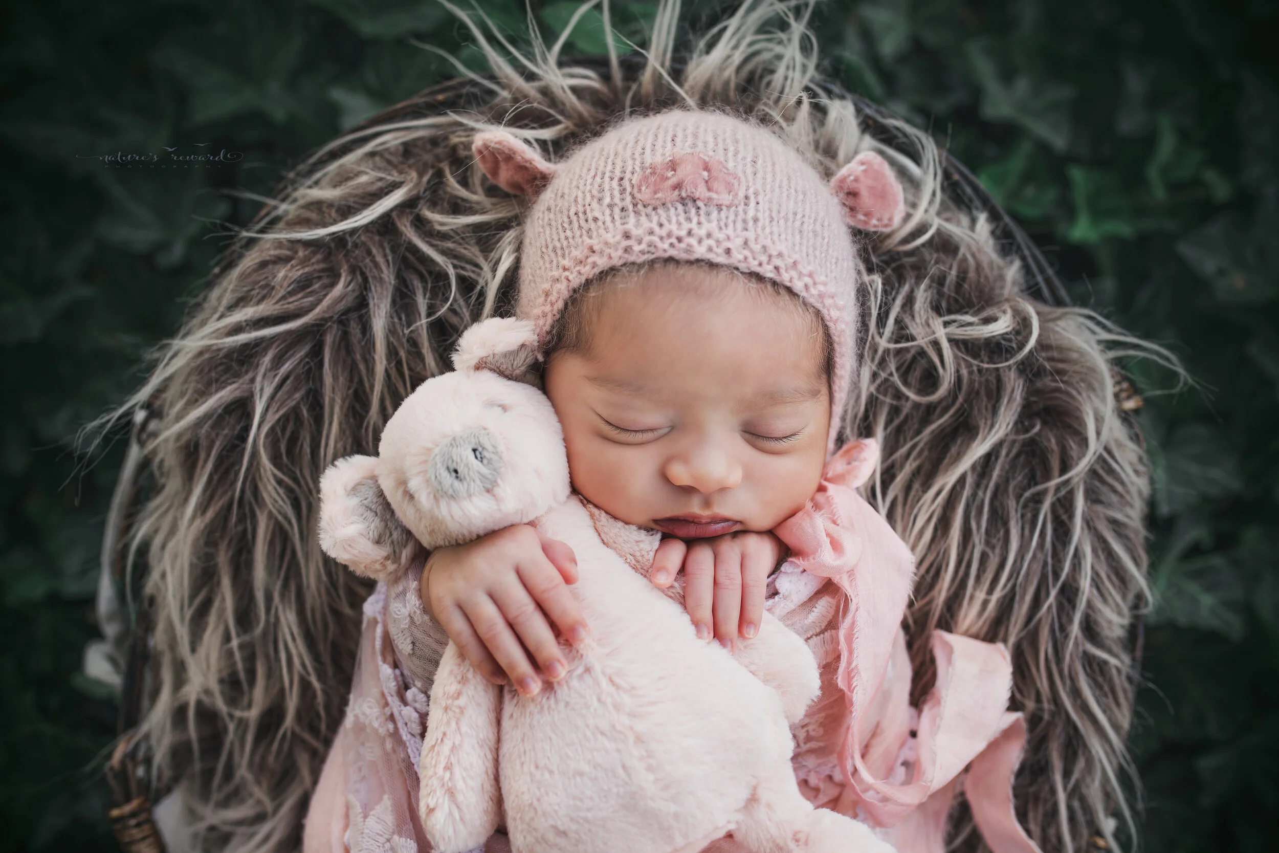 Sweet baby girl swaddled in pink lace wearing a pig bonnet (the year of the pig) in a garden of ivy, a newborn portrait by Nature’s Reward Photography