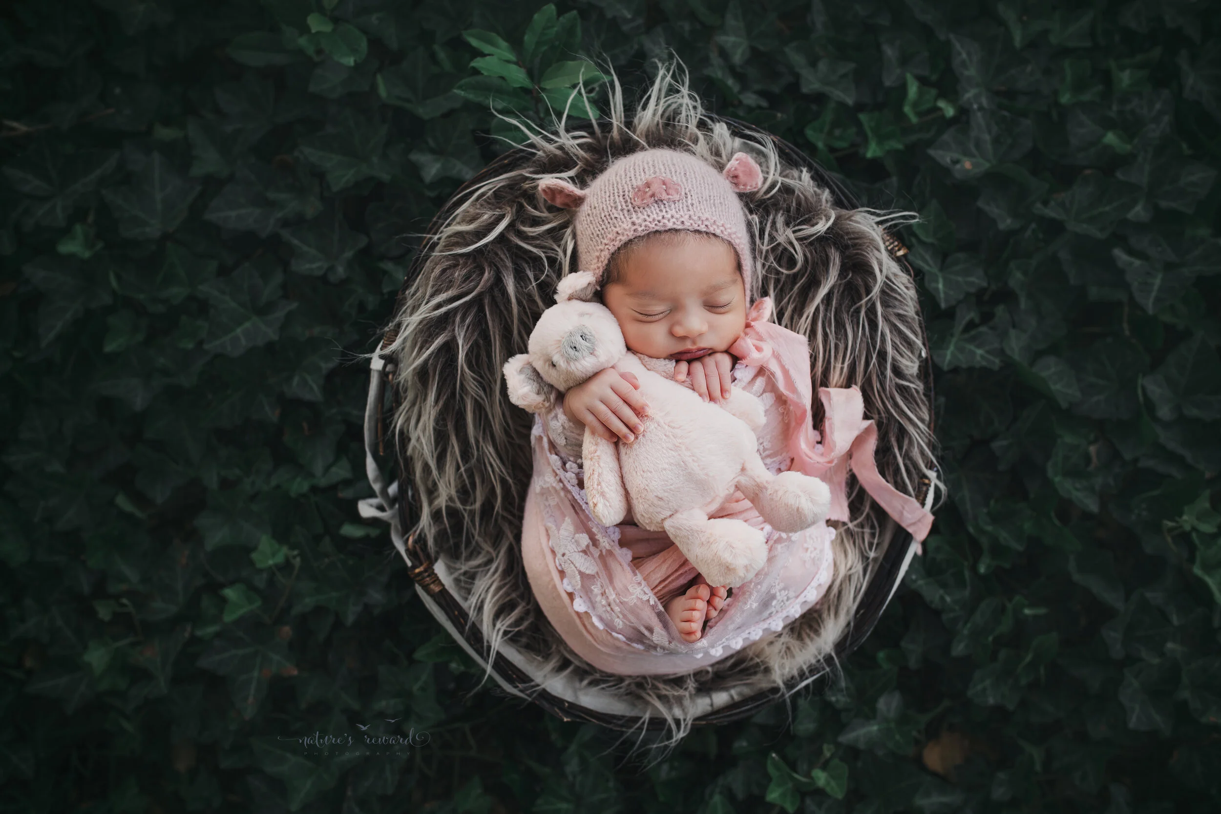 Sweet baby girl swaddled in pink lace wearing a pig bonnet (the year of the pig) in a garden of ivy, a newborn portrait by Nature’s Reward Photography