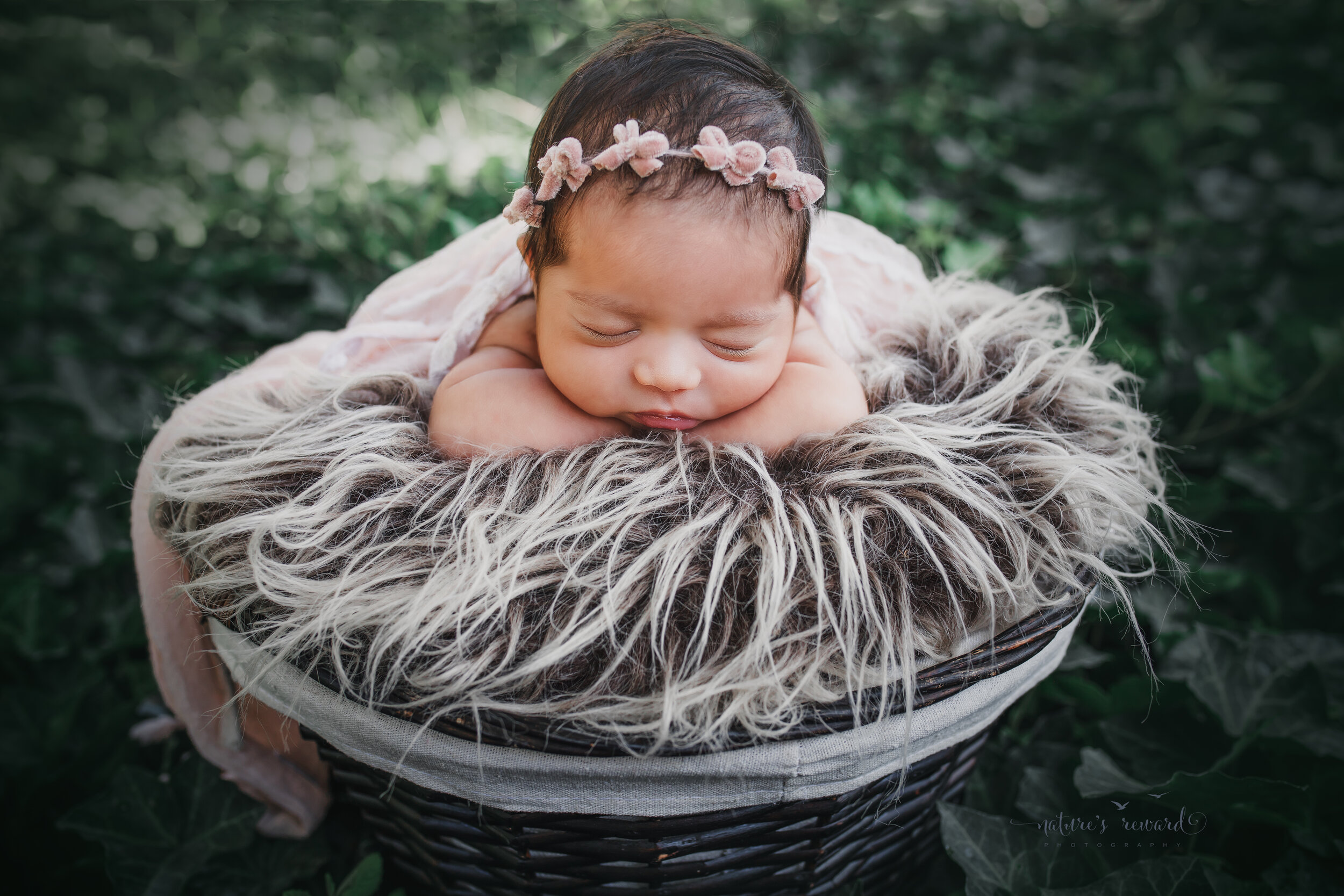 Sweet baby girl in a garden of ivy, a newborn portrait by Nature’s Reward Photography