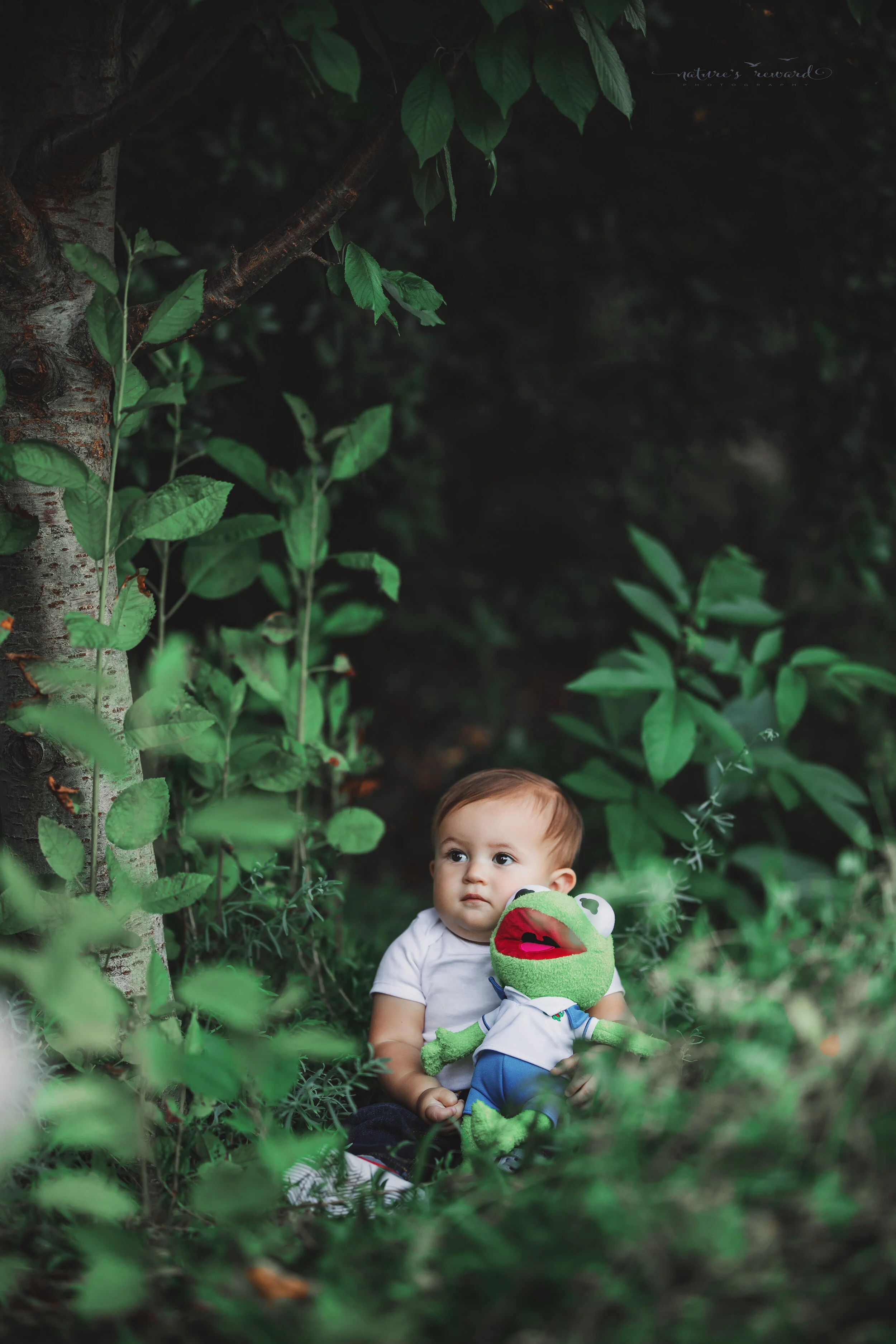 One year old Baby Boy session at the park by Nature’s Reward Photography