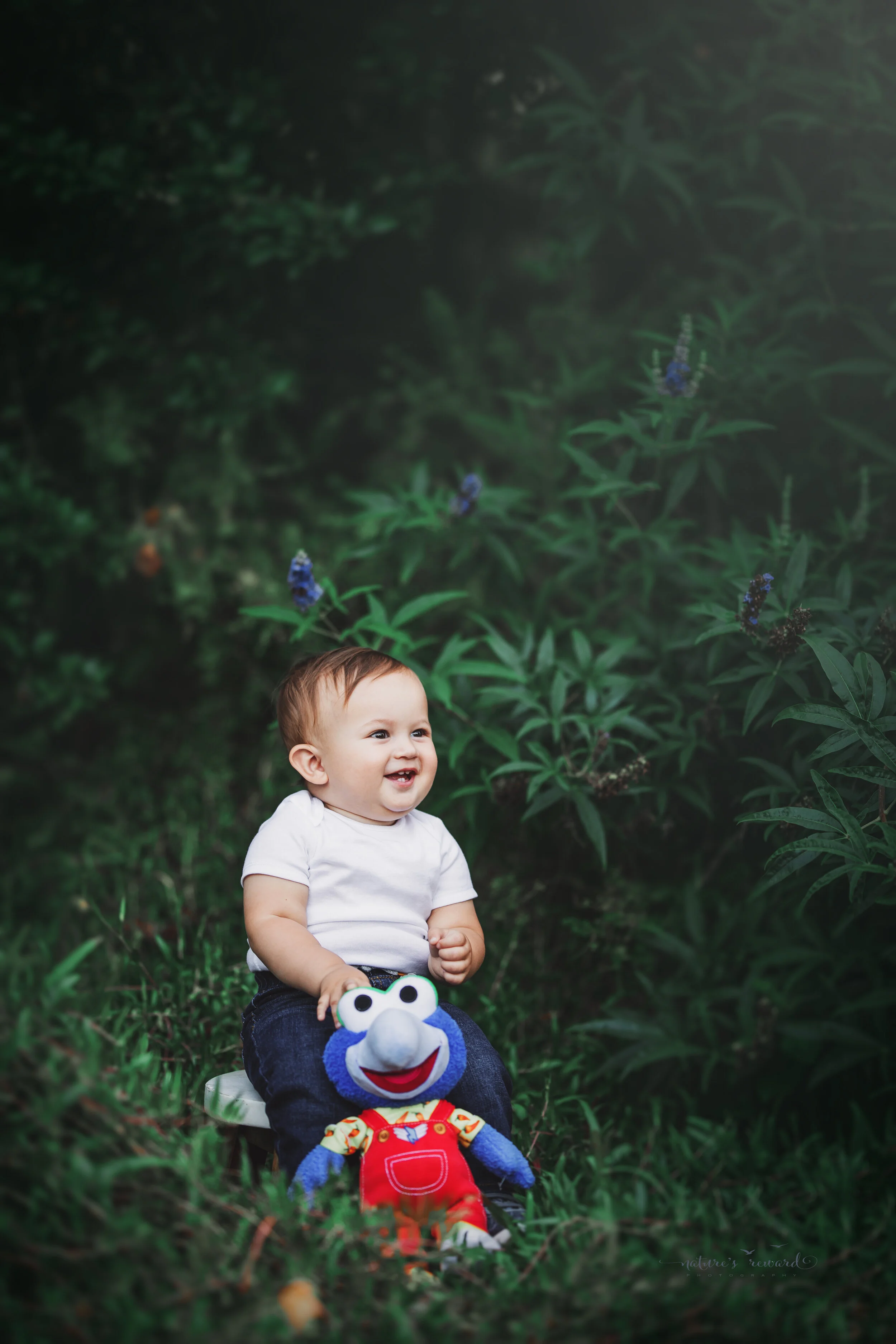 One year old Baby Boy session at the park by Nature’s Reward Photography