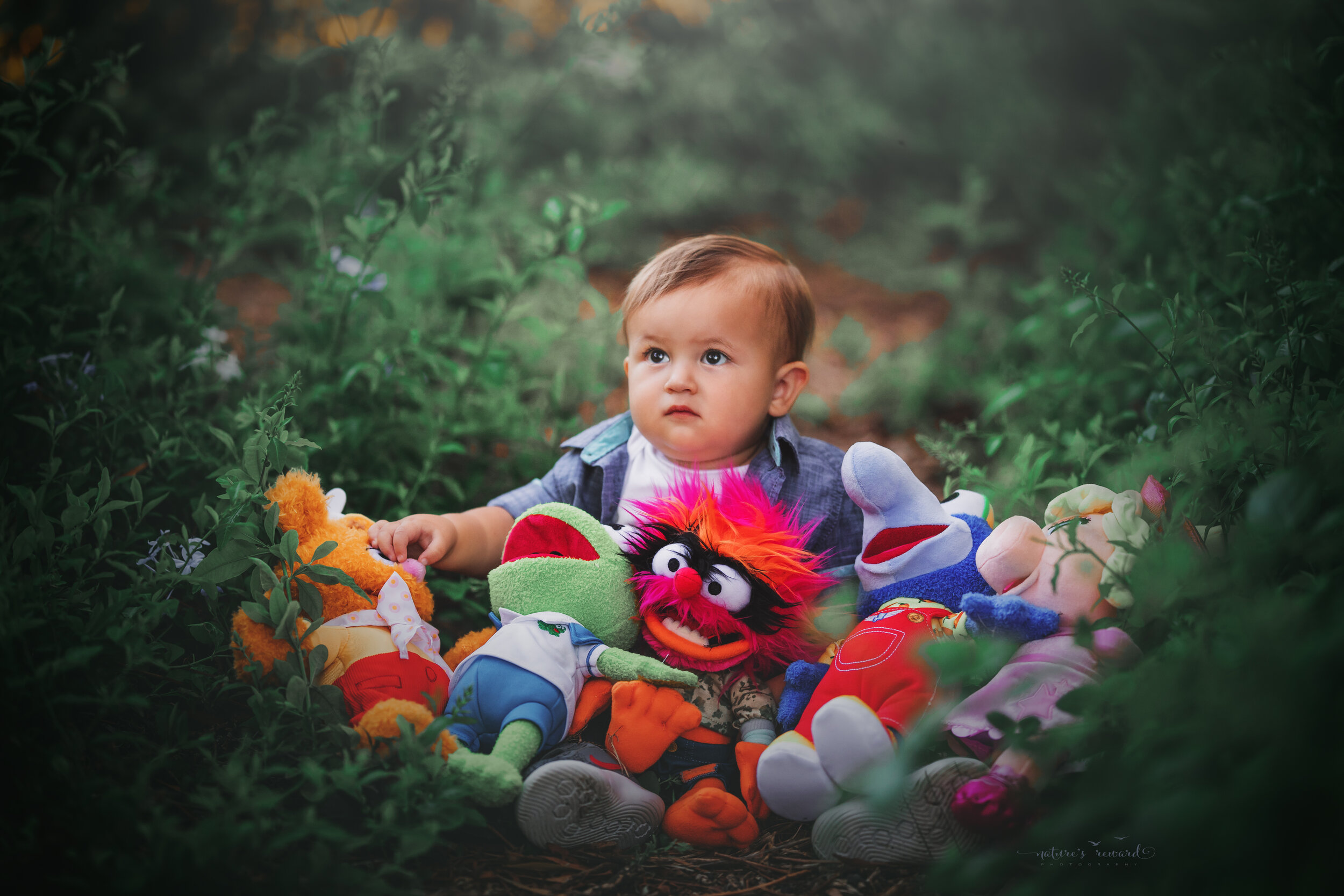 One year old Baby Boy session at the park by Nature’s Reward Photography