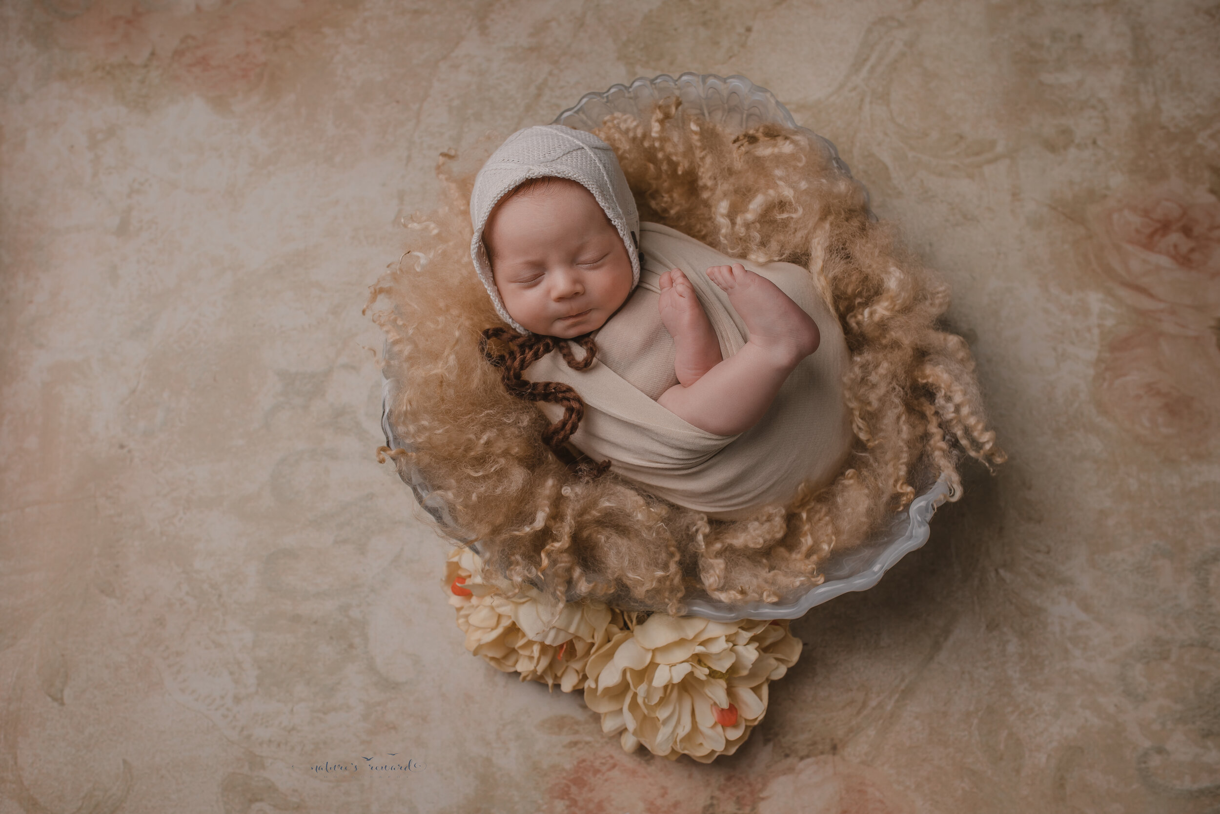 Newborn Baby Girl in a beautiful portrait by Nature’s Reward Photography