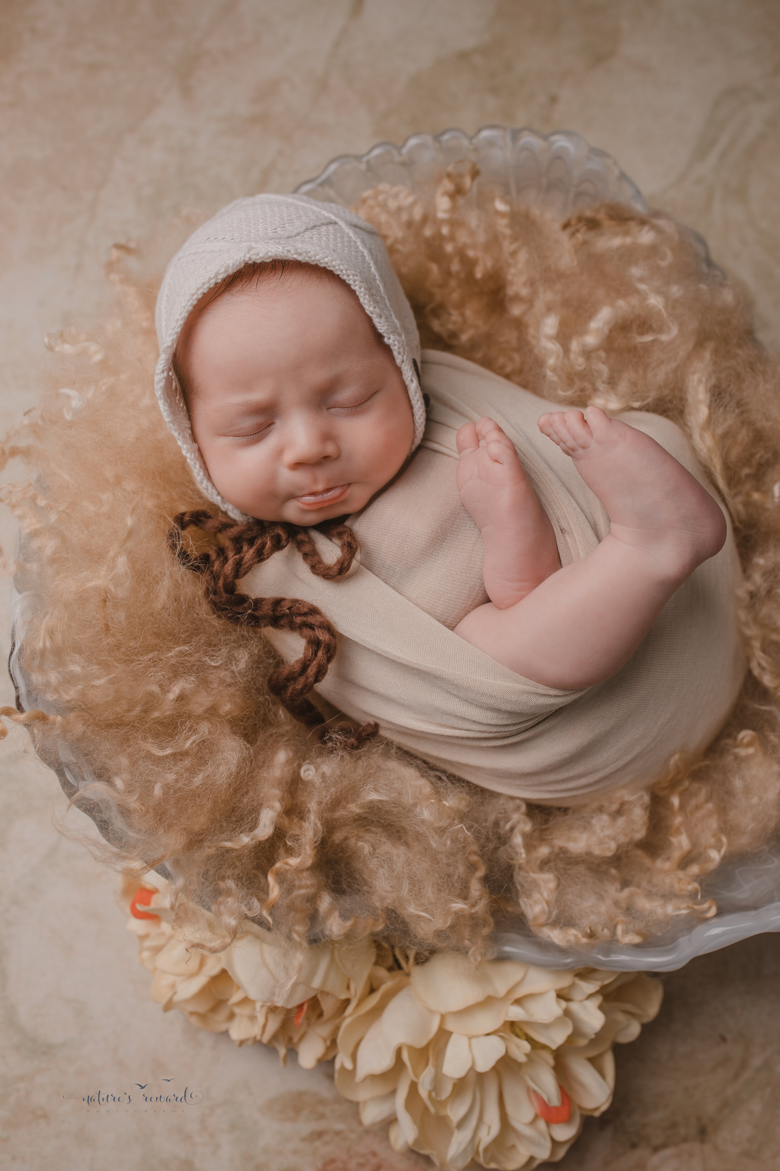 Newborn Baby Girl in a beautiful portrait by Nature’s Reward Photography