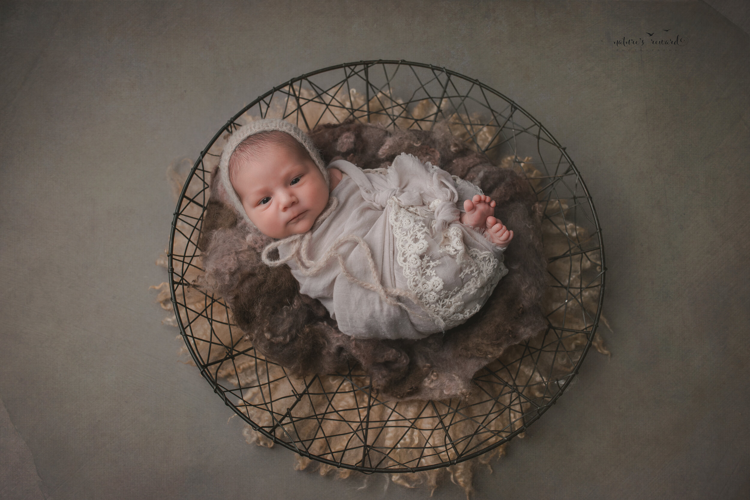 Beautiful newborn baby girl swaddled and in a bowl with her toes showing in this portrait by Nature’s Reward Photography