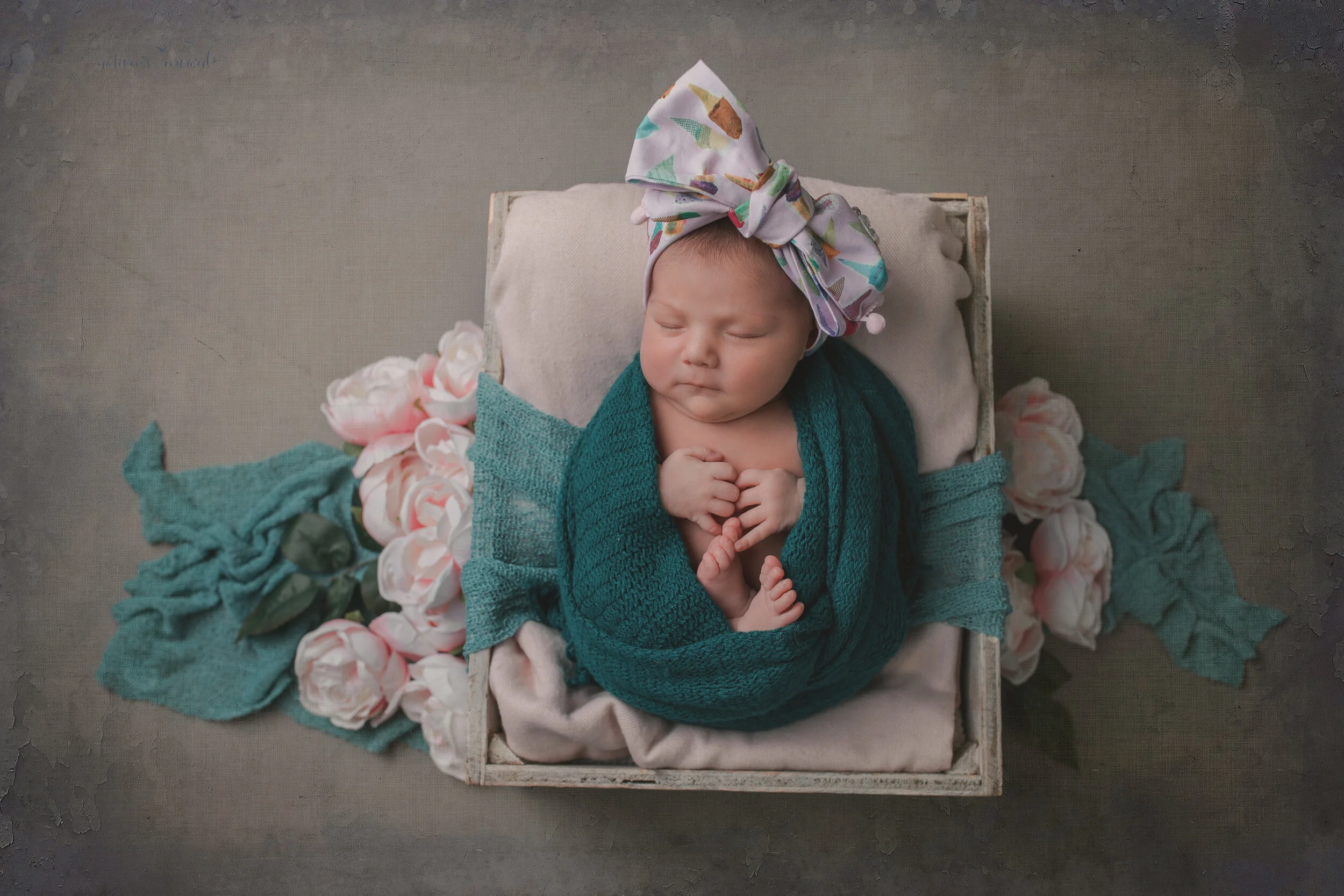 A newborn baby girl in the bow her mother brought for her in this portrait by Nature’s Reward Photography