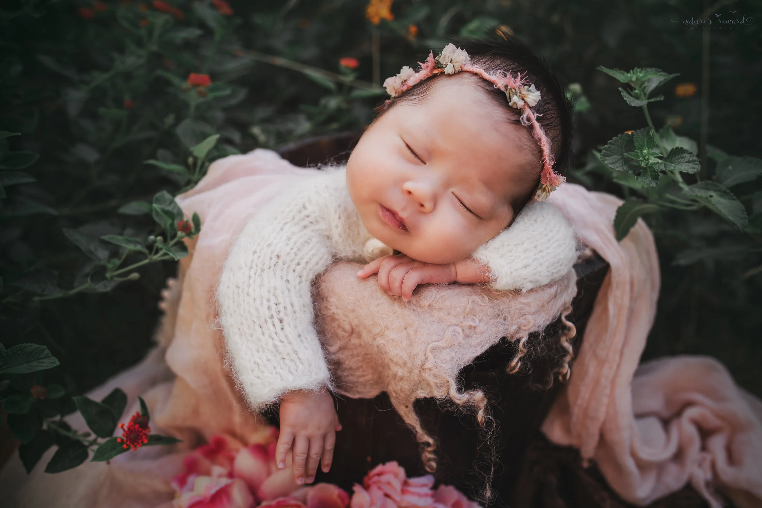 Newborn Baby girl in white nighty wearing a pink tieback in a bucket in a garden portrait by nature’s Reward Photography