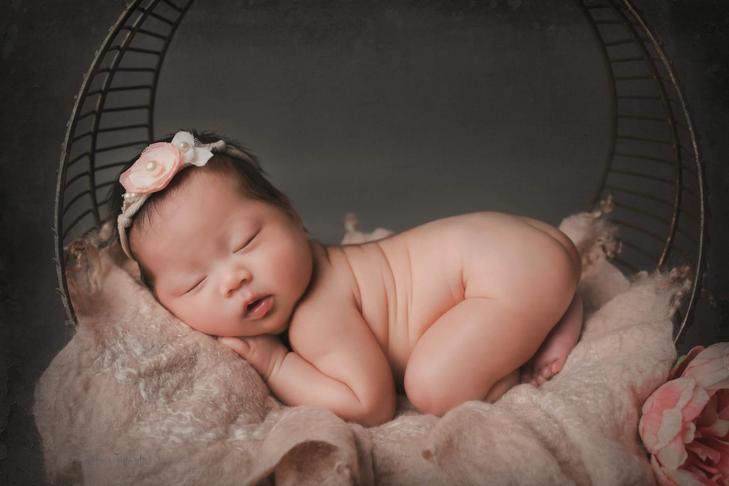 Newborn Baby girl in vase in a bum up pose in a studio portrait by nature’s Reward Photography