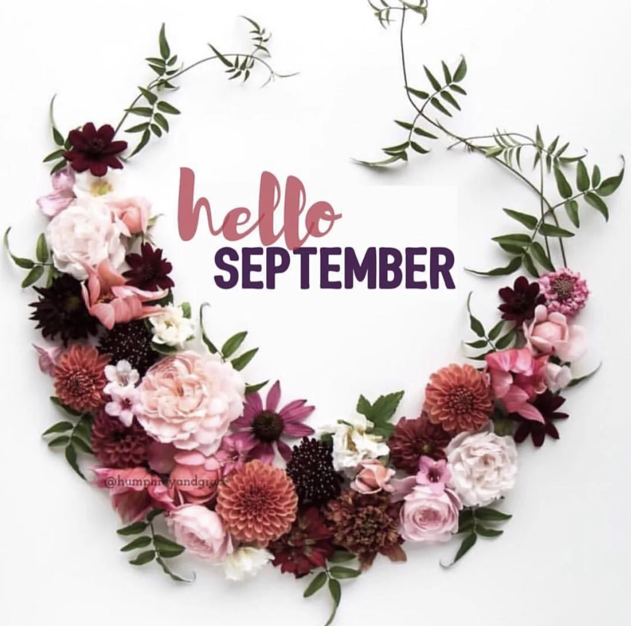 //hello september 