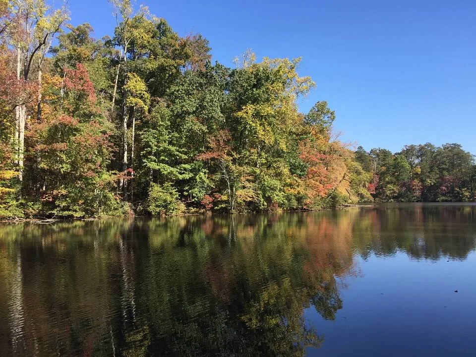 With 15 miles of trails ranging from easy to difficult,  Paris Mountain  is definitely Greenville's ultimate backyard playground. Only minutes from downtown, you truly feel as though you are deep in the mountains, away from the hustle and bustle of