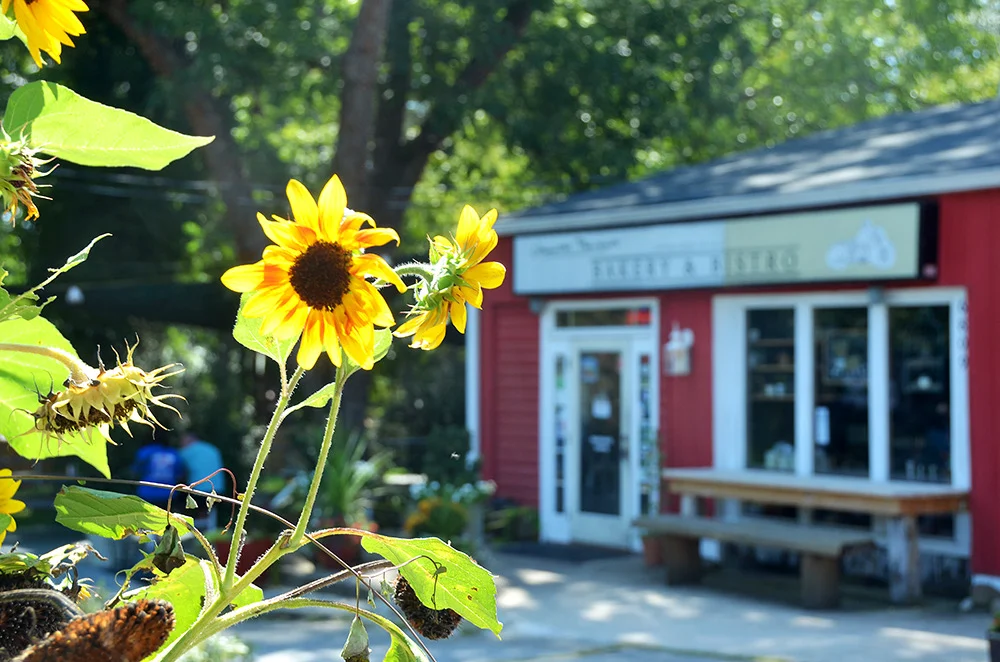 Hangry yet? Load up on fresh baked goodies at  Upcountry Provisions , eat a hardy breakfast at  The Hungry Drover , or stop by  Yellow Ginger  for some serious grub before checking out our next autumn adventure. #supportlocal
