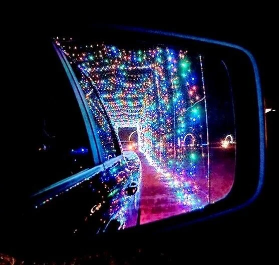   Hollywild . Starting Thanksgiving Day through January 4th, you can enjoy the ultimate experience that we still can’t believe is legal. With millions of holiday lights, you can “get your freak on” and feed animals out the window of your car. In the 