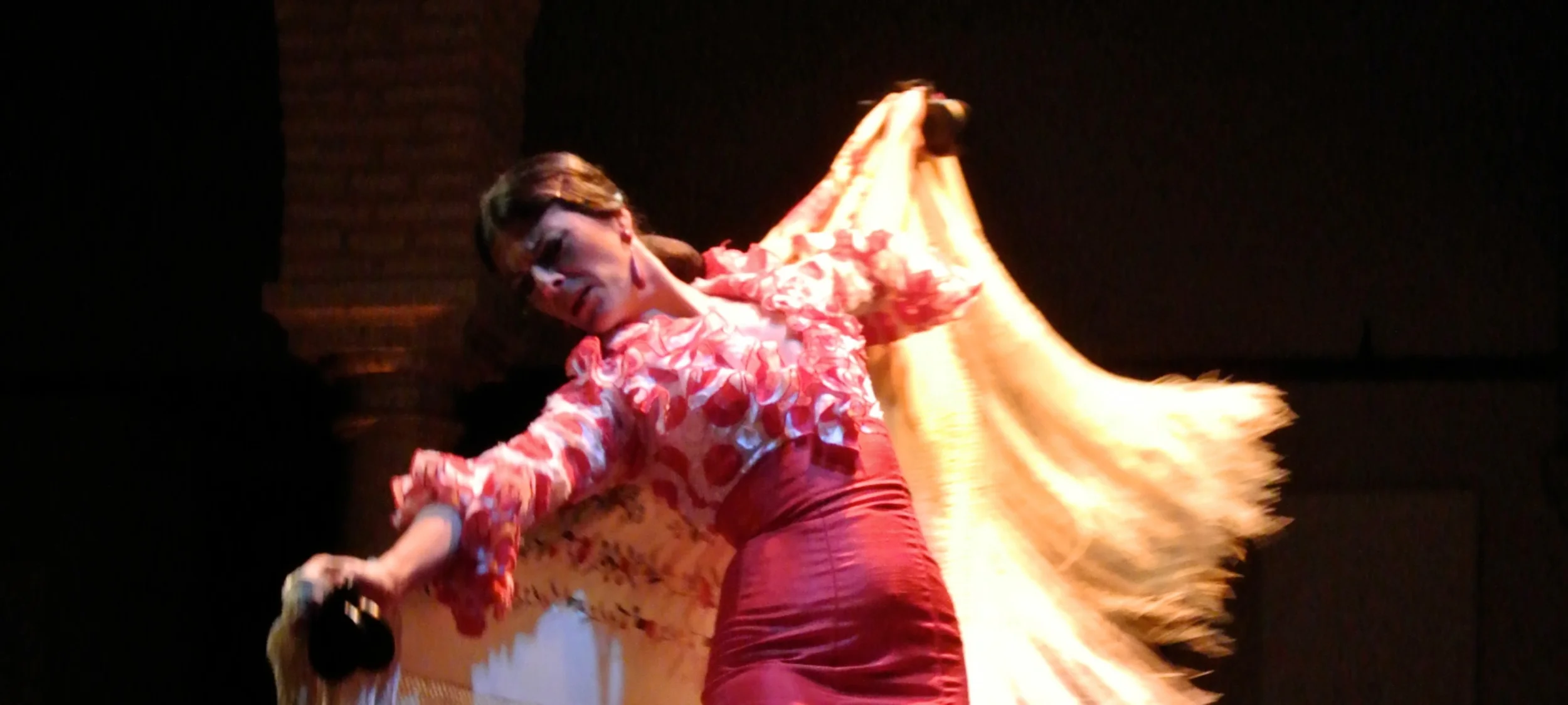 flamenco-from-Carol.JPG