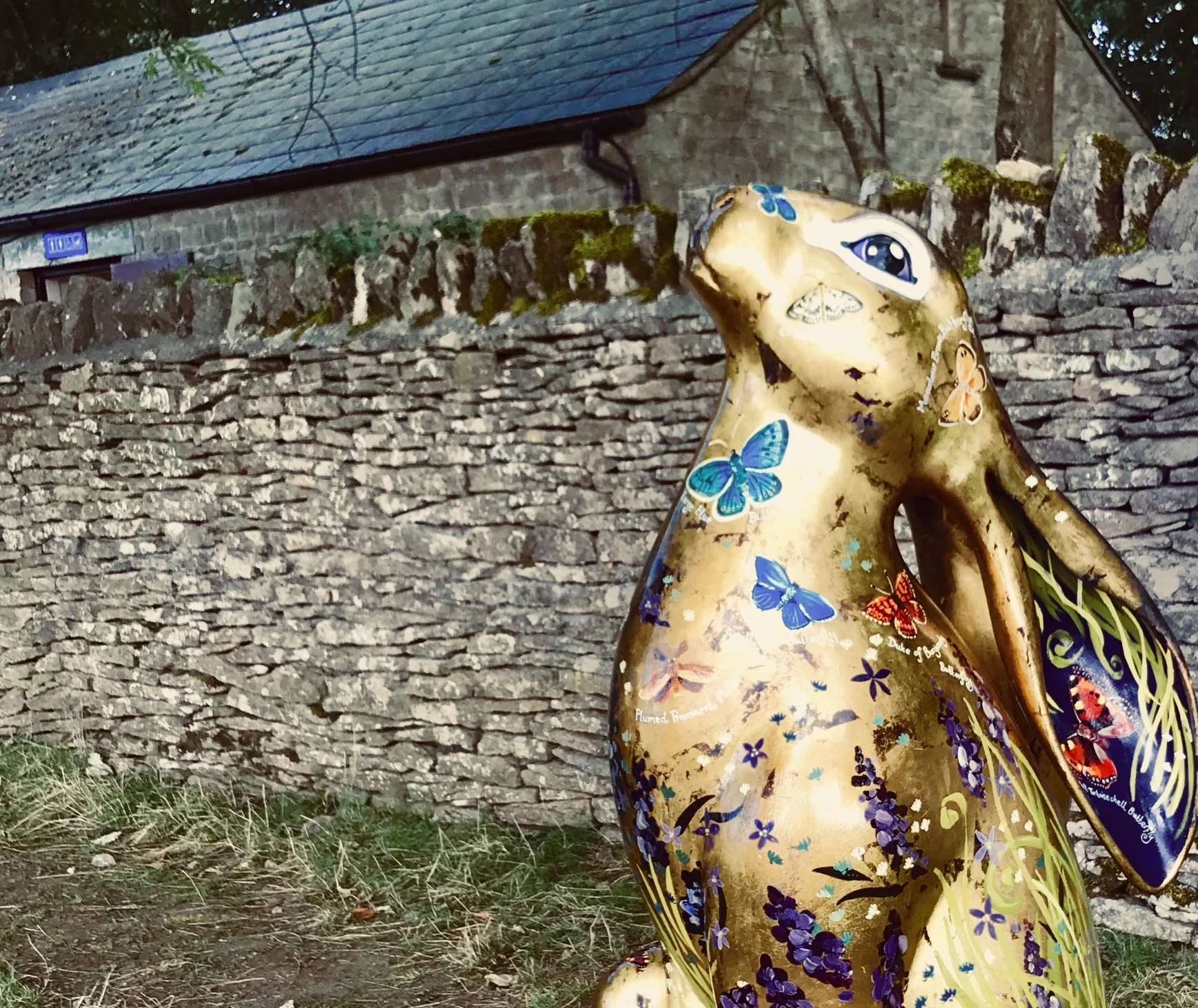 The Story of the Moon Gazing Hare