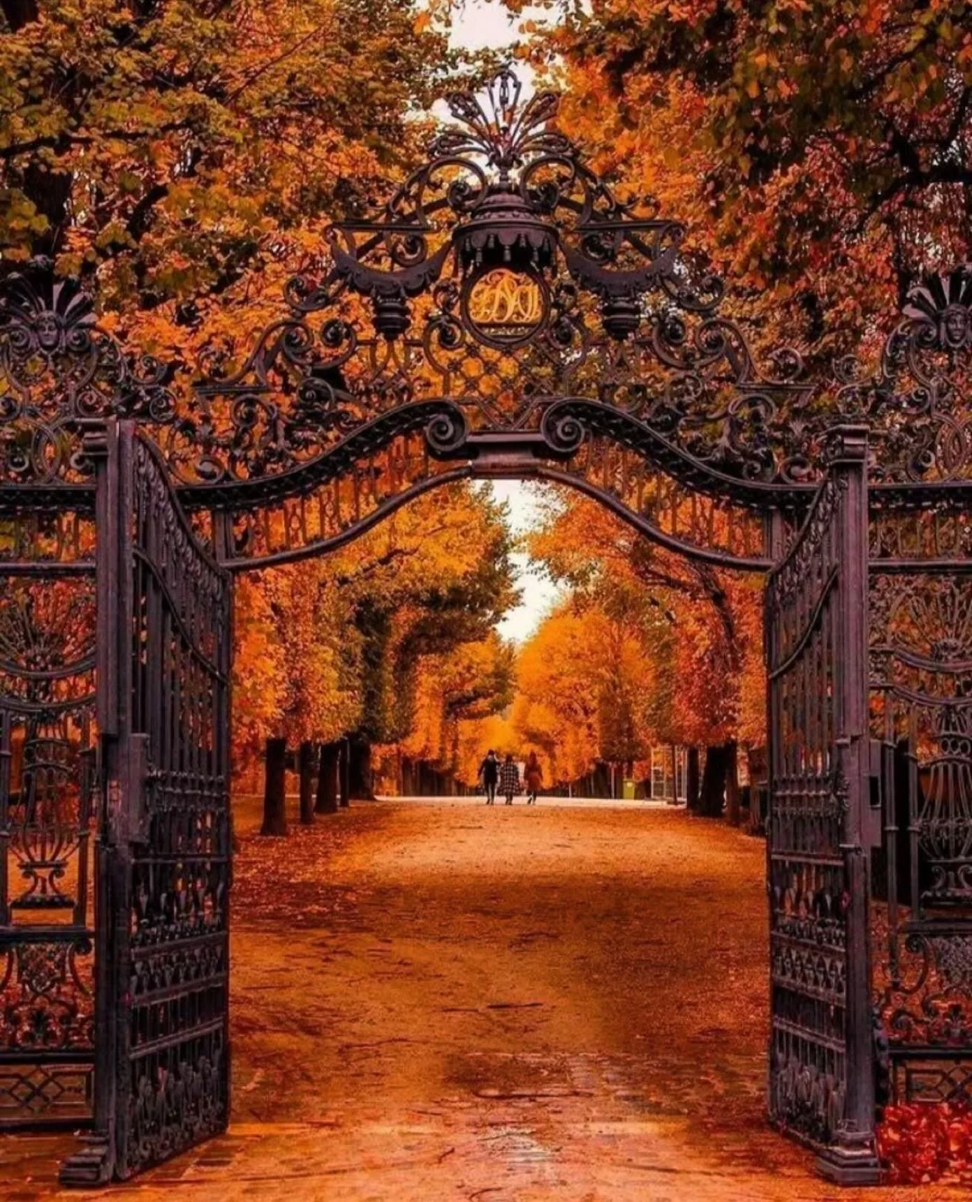 The doors to enchantment are about to open&hellip;.the Witch Country Halloween Advent Calendar starts tomorrow! 
🧙&zwj;♀️🍂✨🔮
And the latest episode of @thisiswitchcountry podcast flies out as well! 👻✨🍁