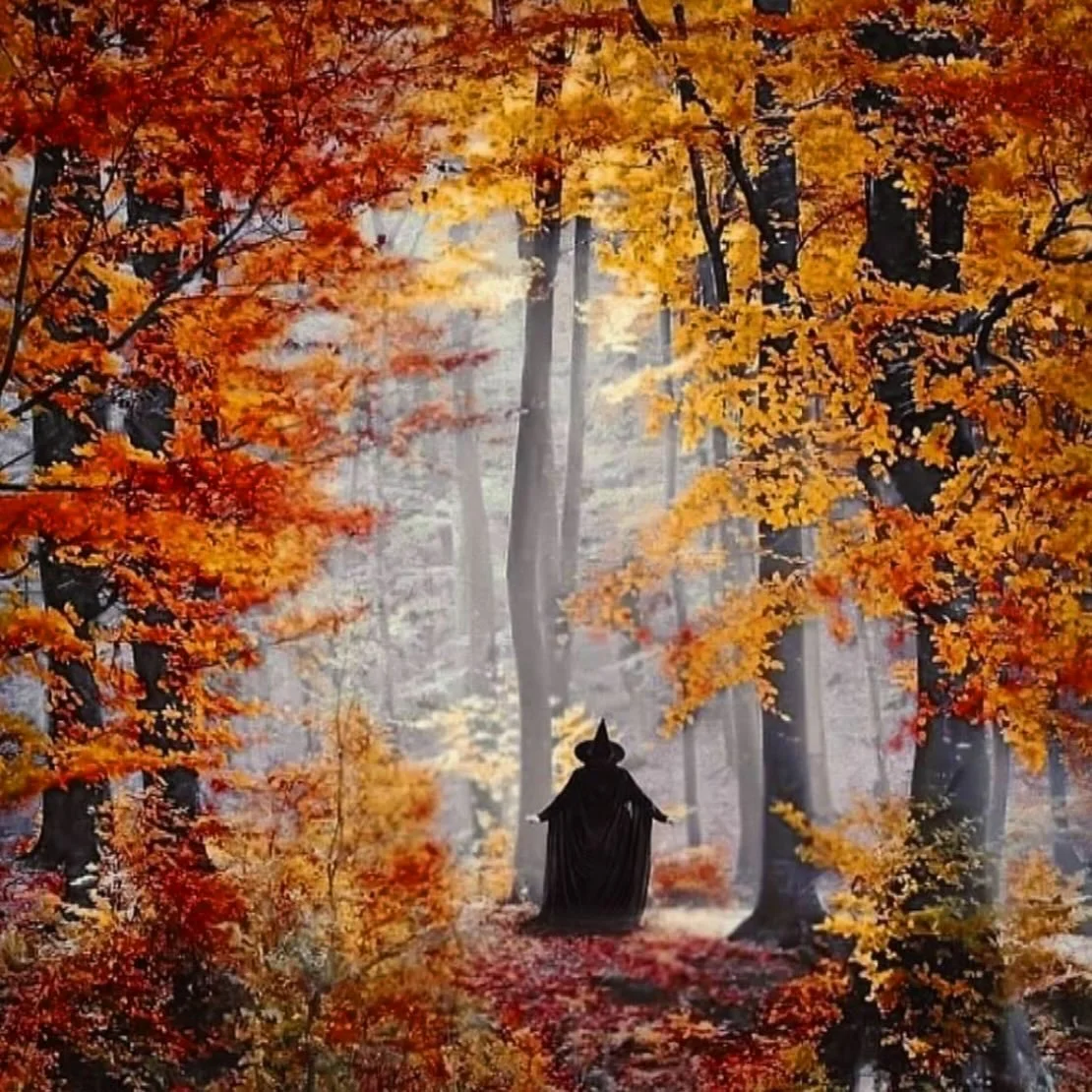&ldquo;The spirit of a place is a wondrous and elusive thing, you might even call it magic. There are places that captivate us, possess us and linger in our memories. Or perhaps it&rsquo;s the other way around &ndash; as people live and dream and die