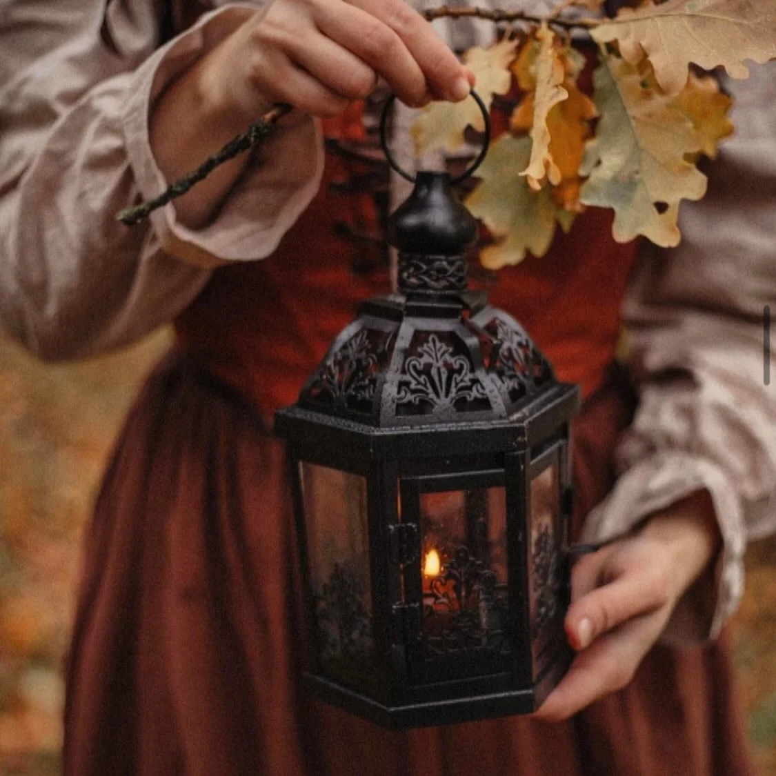 “Autumn came, hazel bushes held ripe brown nuts in sunny groves…The mountain ash were full of blood-red berries, birds set to their migrations and dead leaves danced on the forest floor.”
From the Witch and the Wildwood 
🍂🍁🕯️
#w
