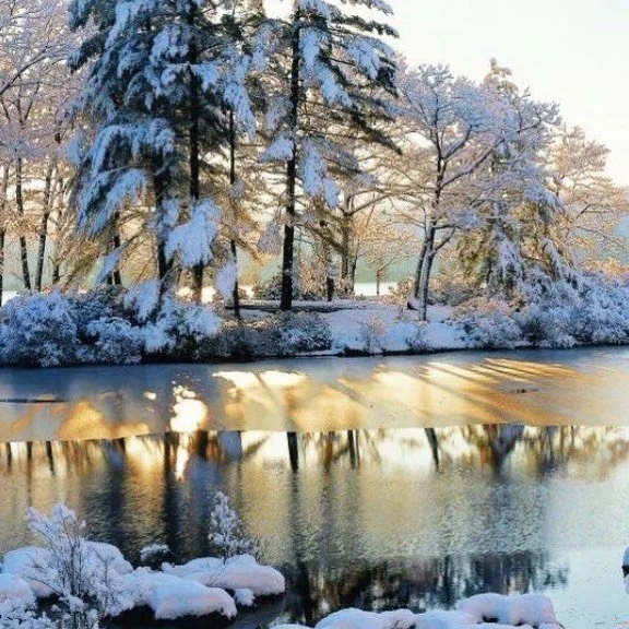 &ldquo;The morning mists lift slowly now&hellip;sunshine gleams on hedgerows&hellip;trees have shed their leaves and frost sparkles on dawn grasses&rdquo; 
❄️☕️✨
Kitchen Witch: Food, Folklore &amp; Fairy Tale 
❄️☕️✨
#kitchenwitch #kitchenwitchfoodfol