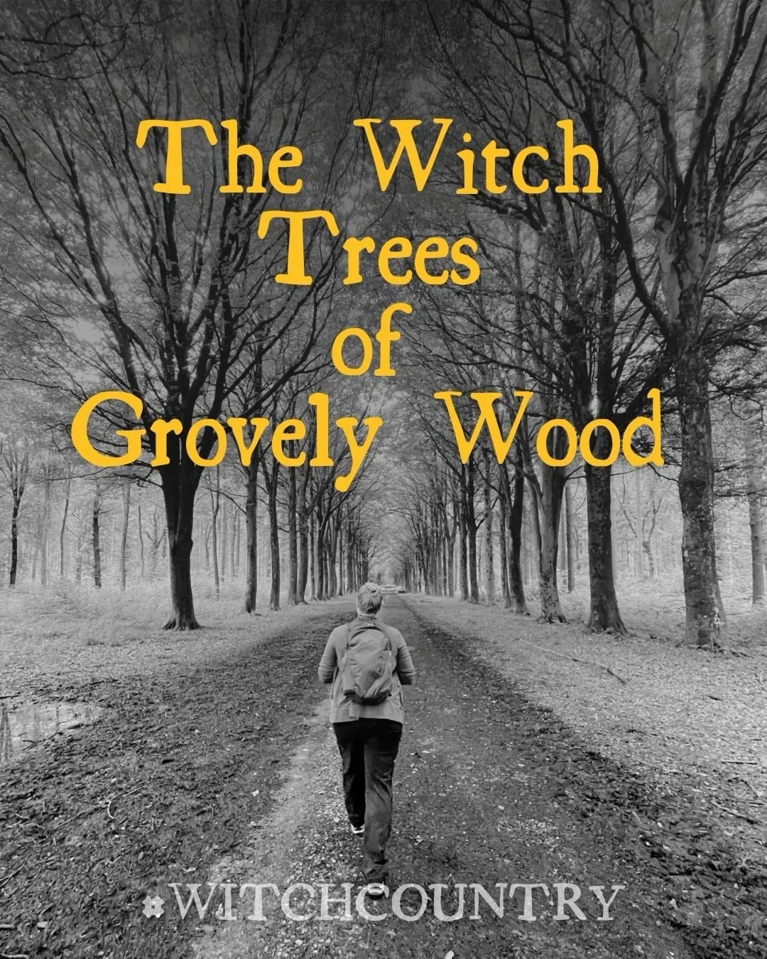 Walk where history whispers and folklore clings. From twisted trees to tidal graves, Britain is full of stories waiting to be remembered. 
🌿📖
Each place has its own secrets; the accused, the vanished, the tales passed down through generations. Som