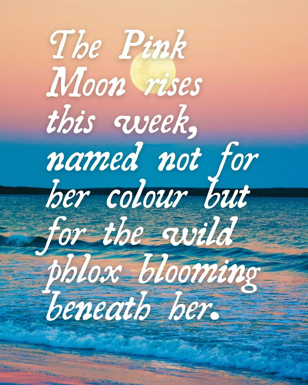 Happy Pink Moon Week! May it shine rosy for you 🌸 for more notes on moon, magic and folklore sign up for my weekly newsletter - The Enchanted Journal - sentiayoga.com/newsletter 🌸✨🌕