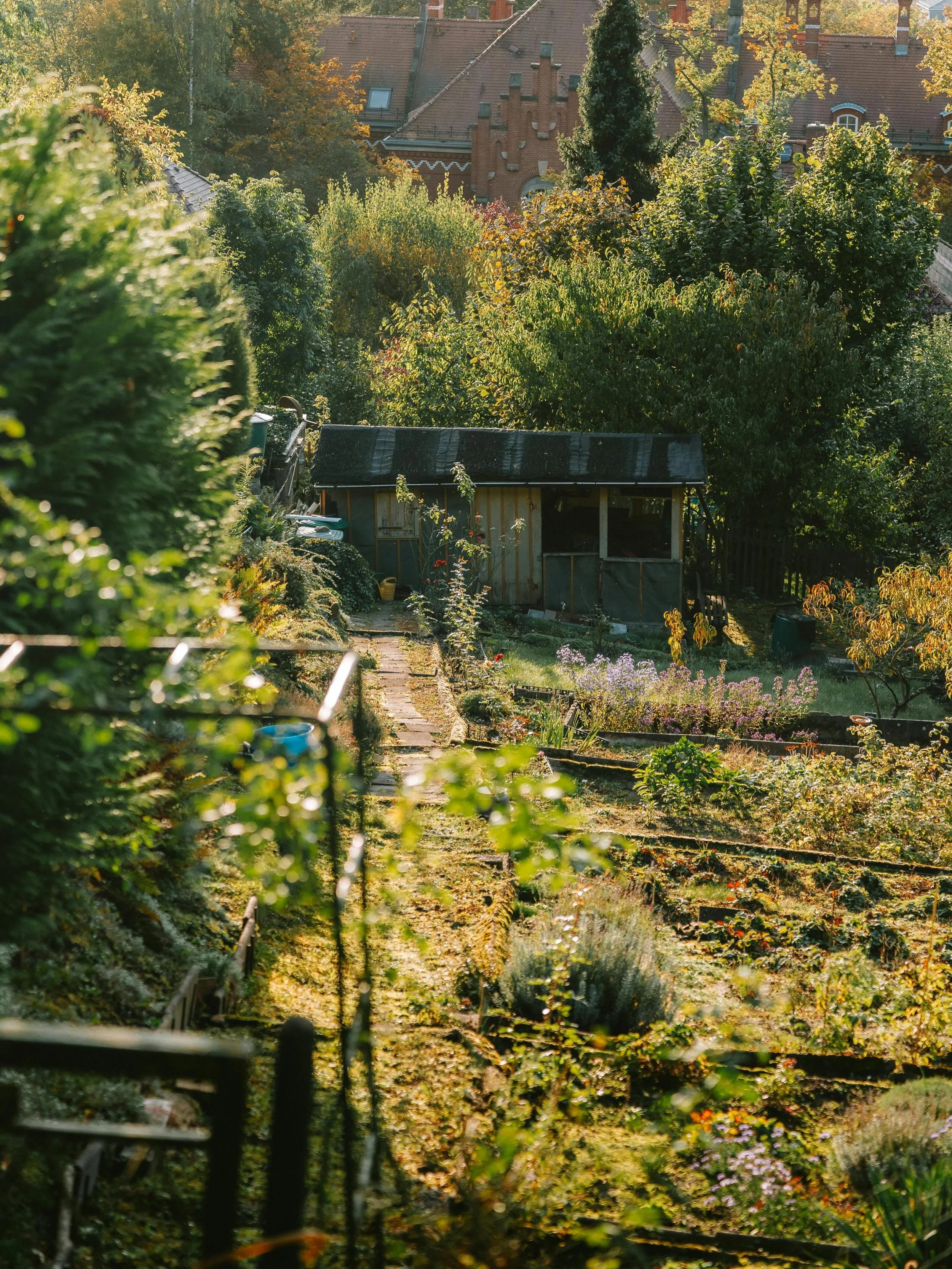 From this week&rsquo;s newsletter, Kitchen Witchery from the allotment in May! &ldquo;The bounty of our allotment has been especially generous of late, gifting us with a glut of onions and leeks alongside a modest but very welcome harvest of salad le