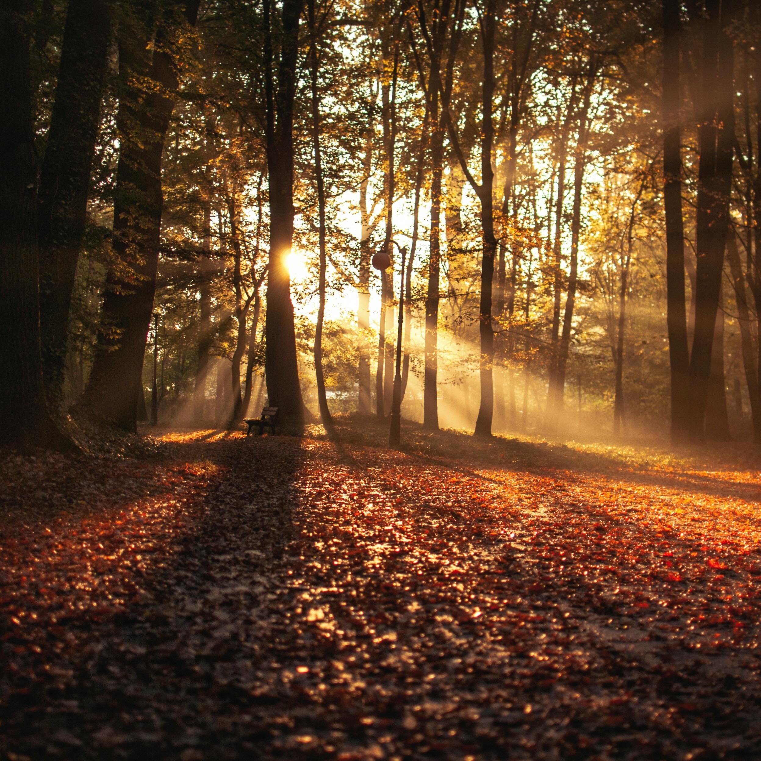 &ldquo;The shift between the shining seasons of summer and autumn is the most beautiful and bittersweet of the year. Senses catch on wood smoke and stolen sunny days are savoured before the colder weather arrives&rdquo; from Witch Country: Seeking th