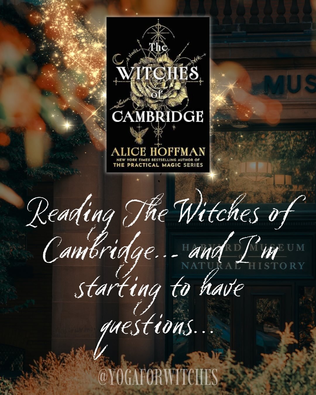 A little literary coincidence&hellip; or am I a Witch of Cambridge? 🔮📚 Having studied at @harvard worked in the archives at the @harvardmuseum and now finding my own witchy books at @harvardbookstore - reading Witches of Cambridge&nbsp;by felt unex