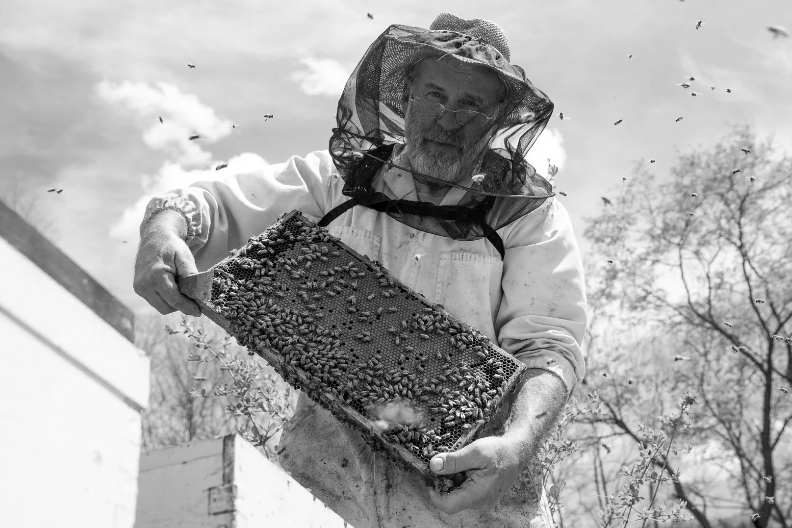 Alan Tremblay of Tremblay Apiaries