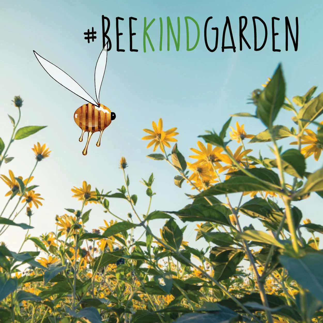 BeeKind Insta.jpg